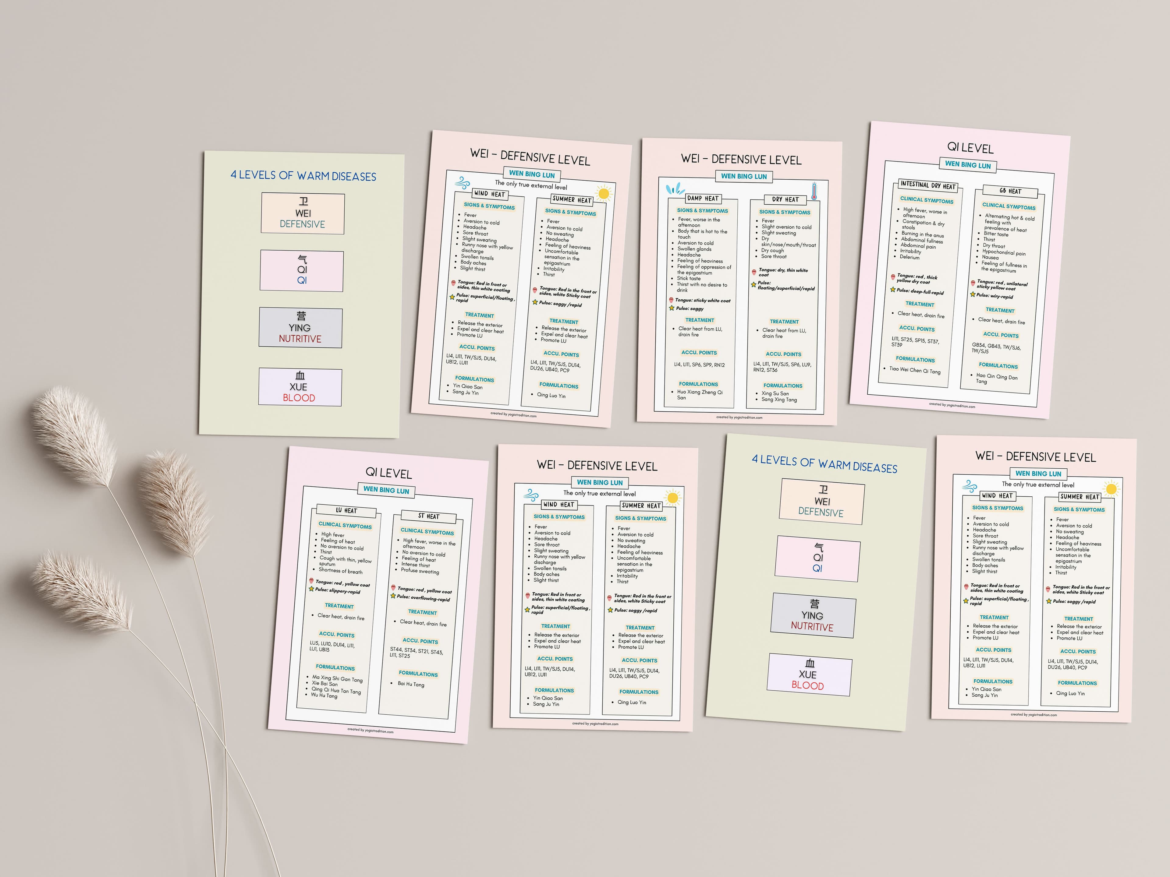 TCM 4 Levels of Warm Diseases Flashcards