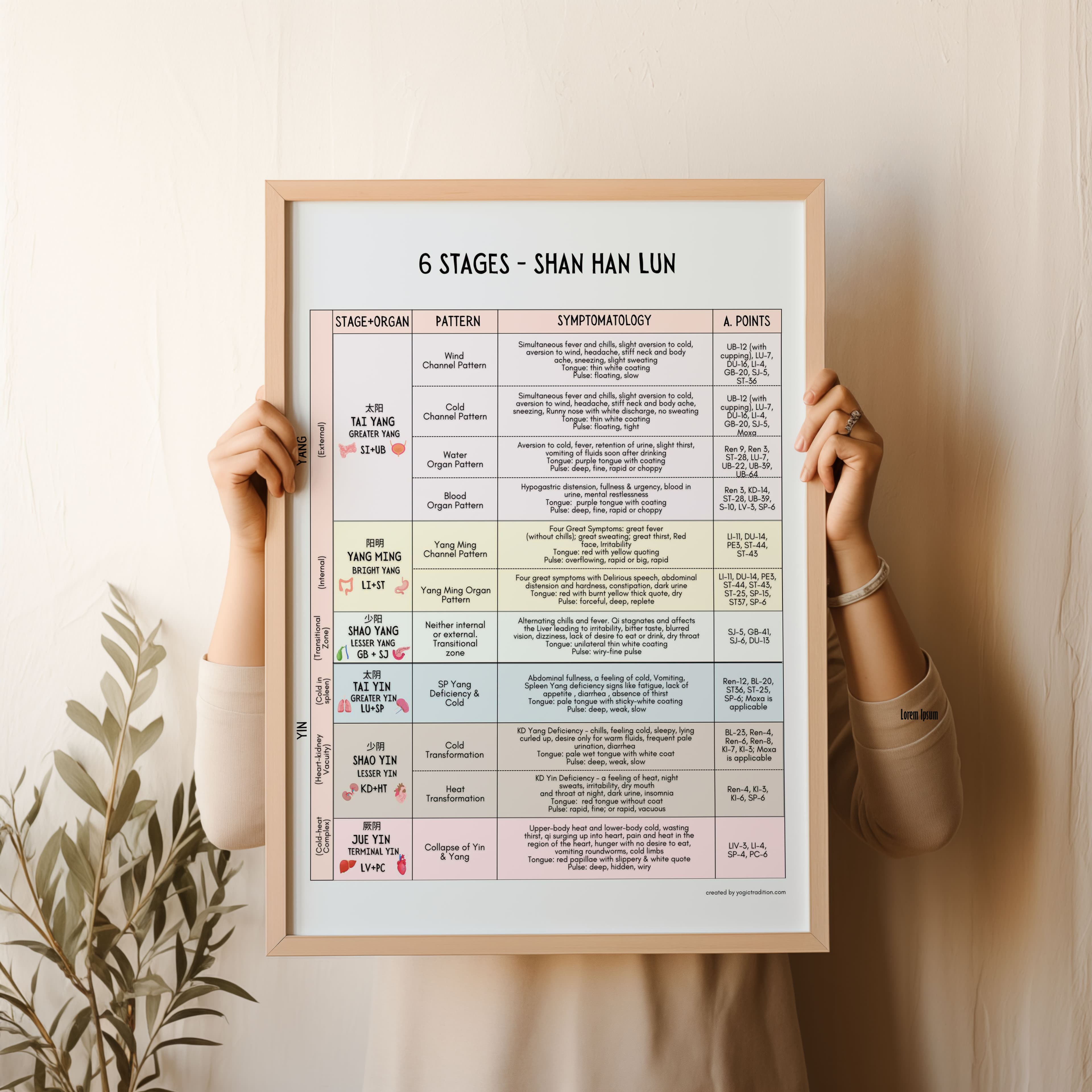TCM Six Stages of Fever Related Diseases Chart