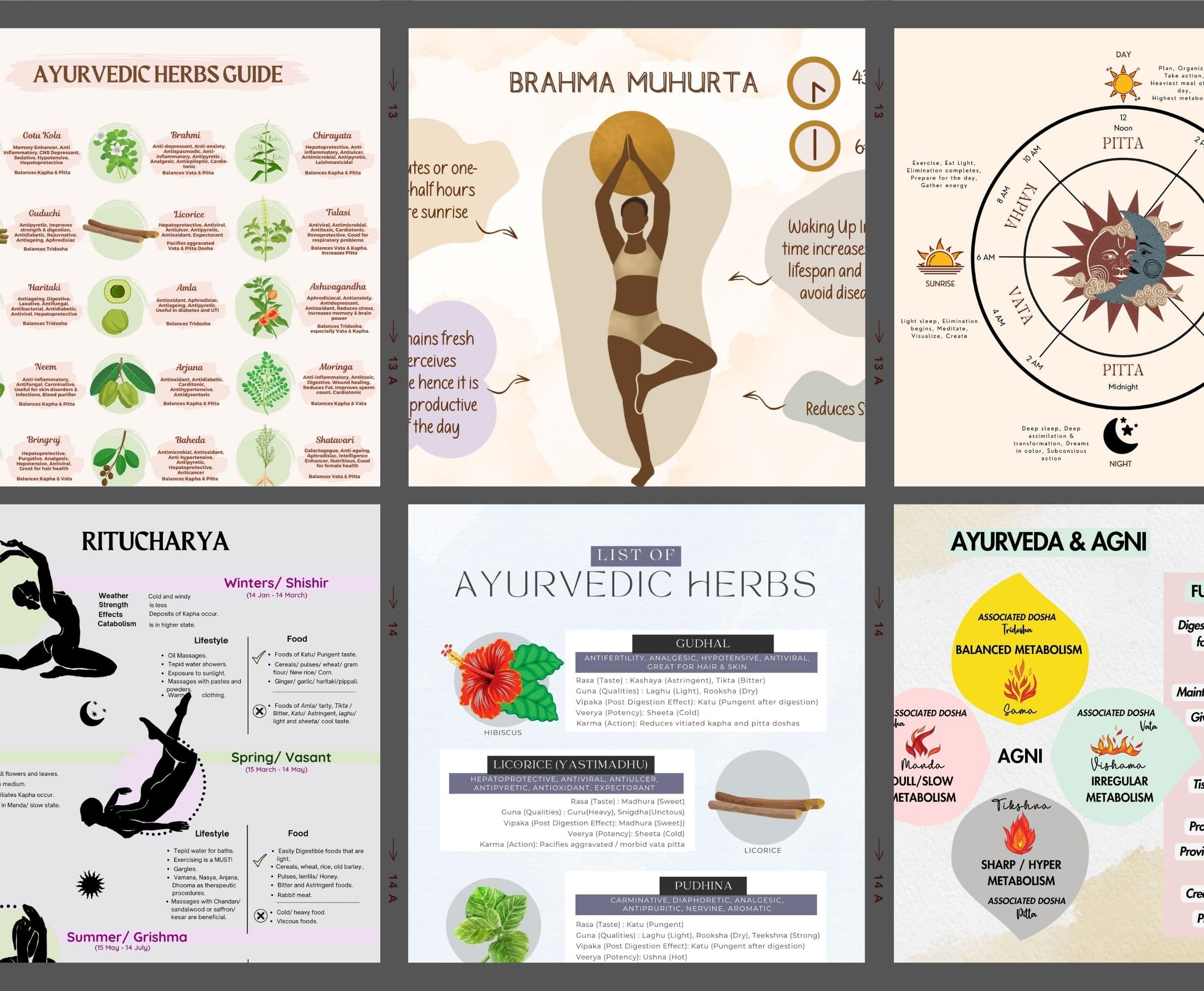Ayurveda Student Bundle: Charts, Cheat Sheets & Flashcards