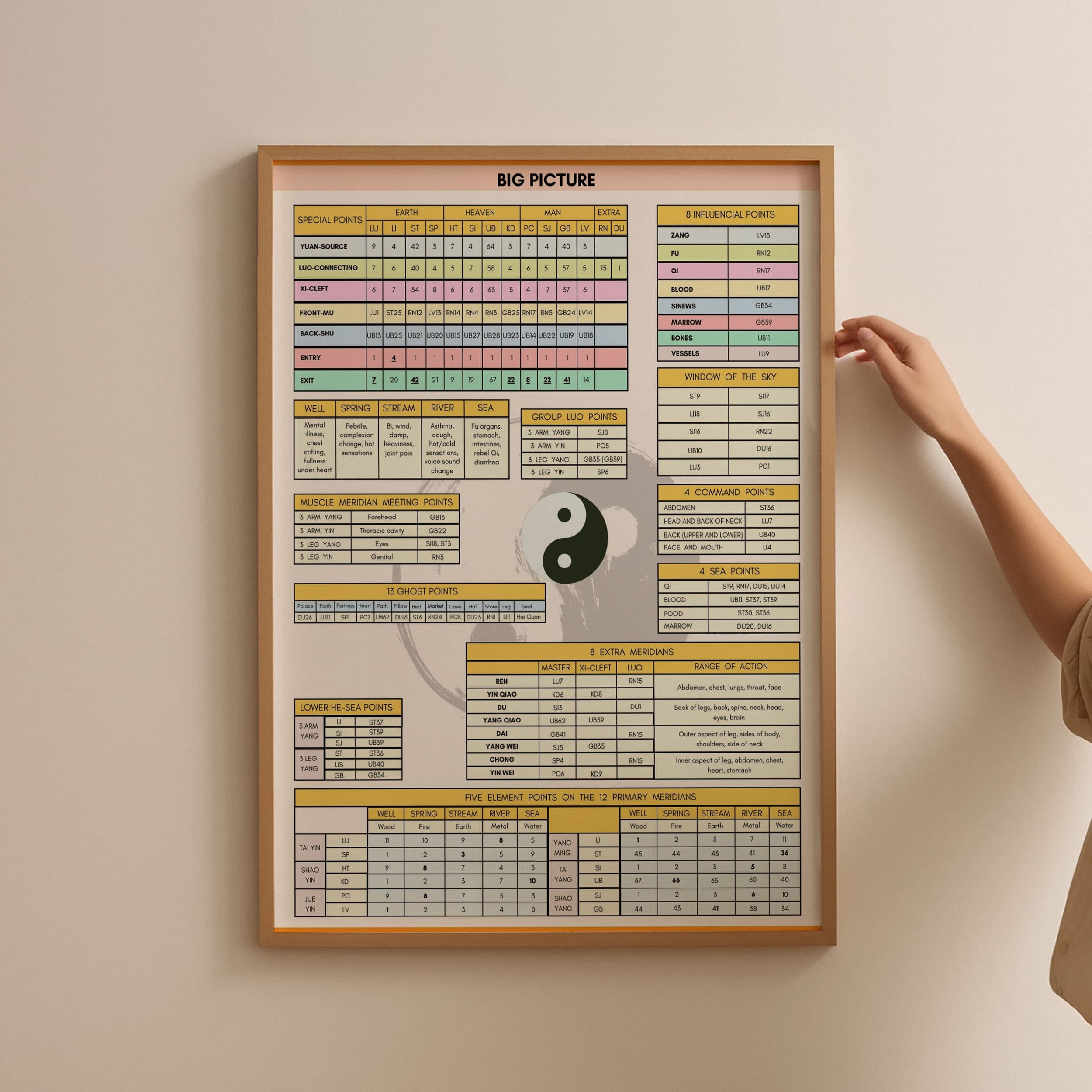 TCM Acupuncture Big Picture Chart