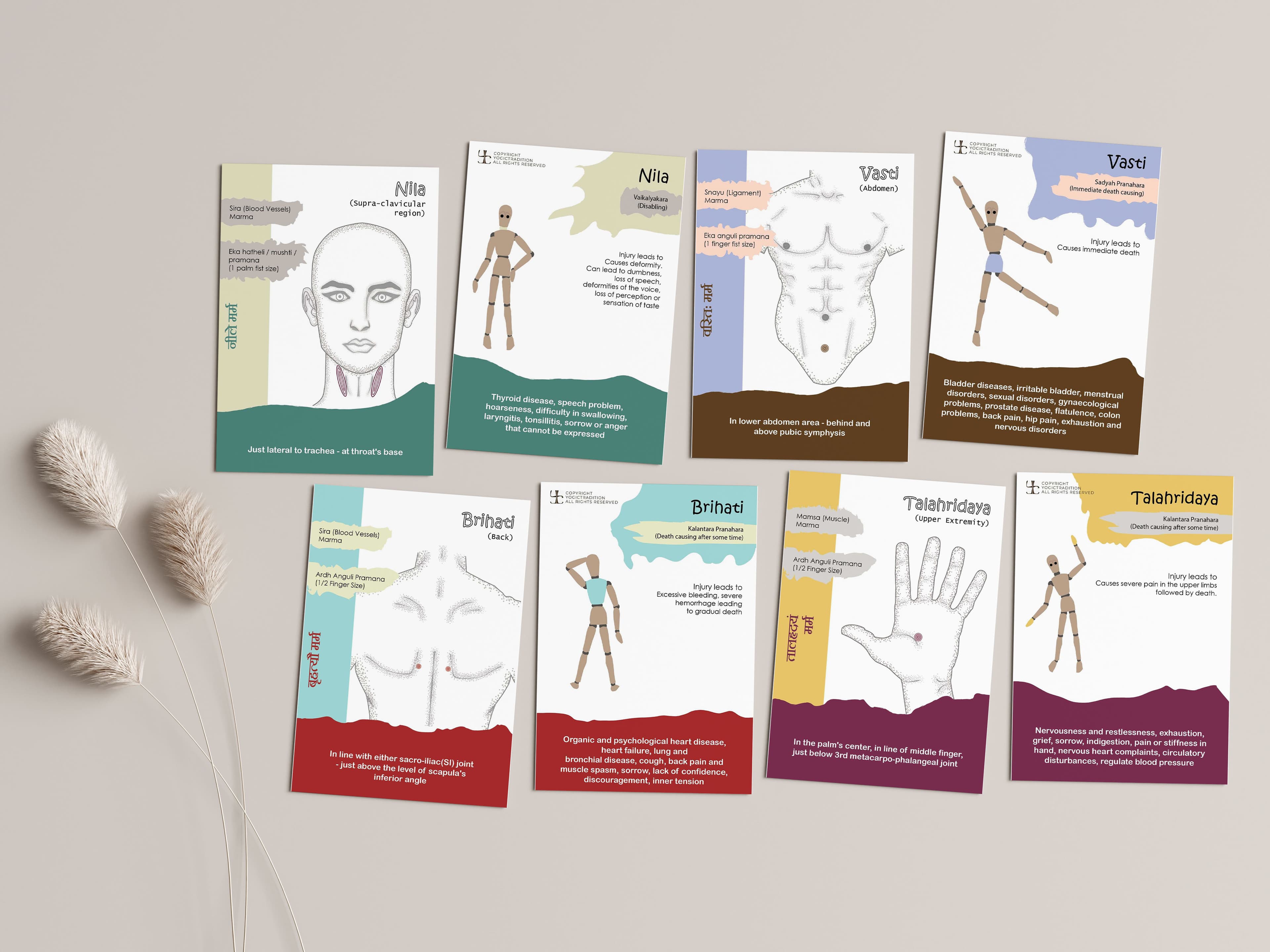 Marma Points Flashcards with Sanskrit Names & Uses
