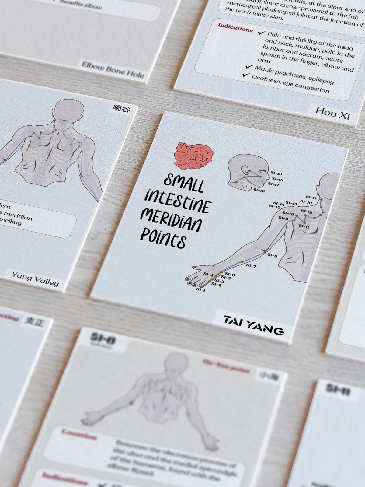 TCM Small Intestine Meridian Flashcards (Acupuncture Points)