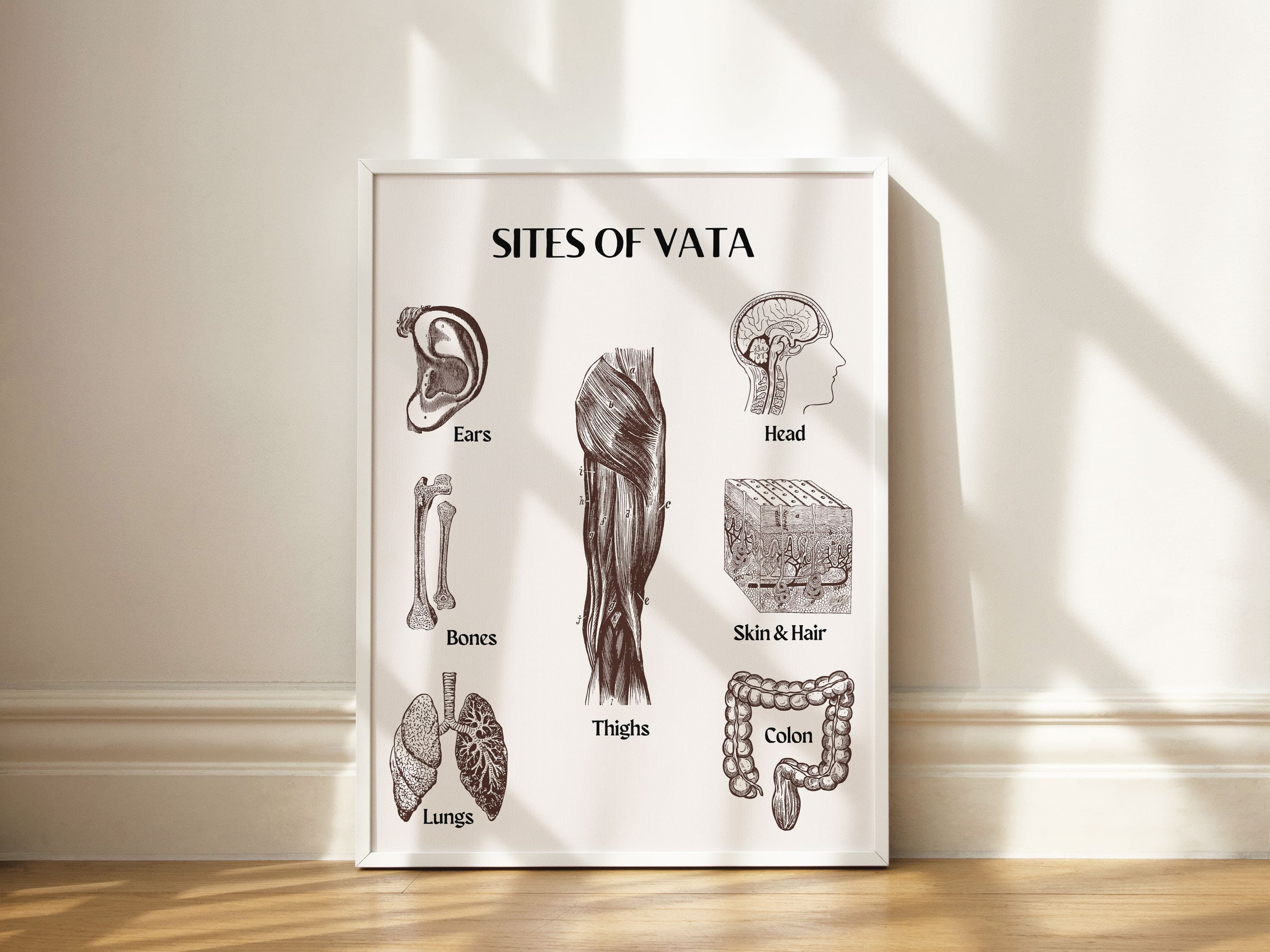 Ayurveda Sites of Vata Dosha Poster