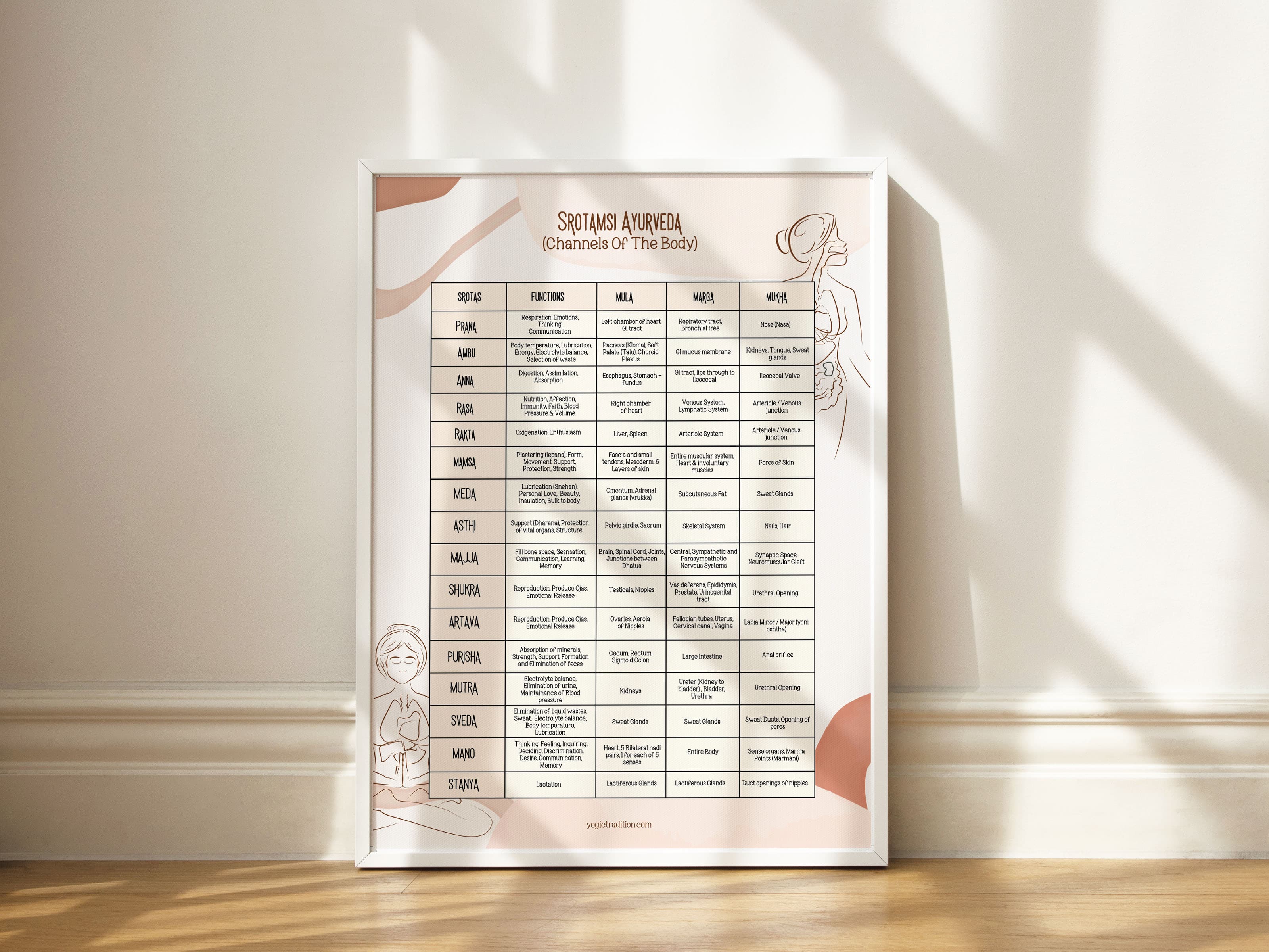 Srotamsi (Srotas & Dhatu) Poster Chart (Ayurveda)