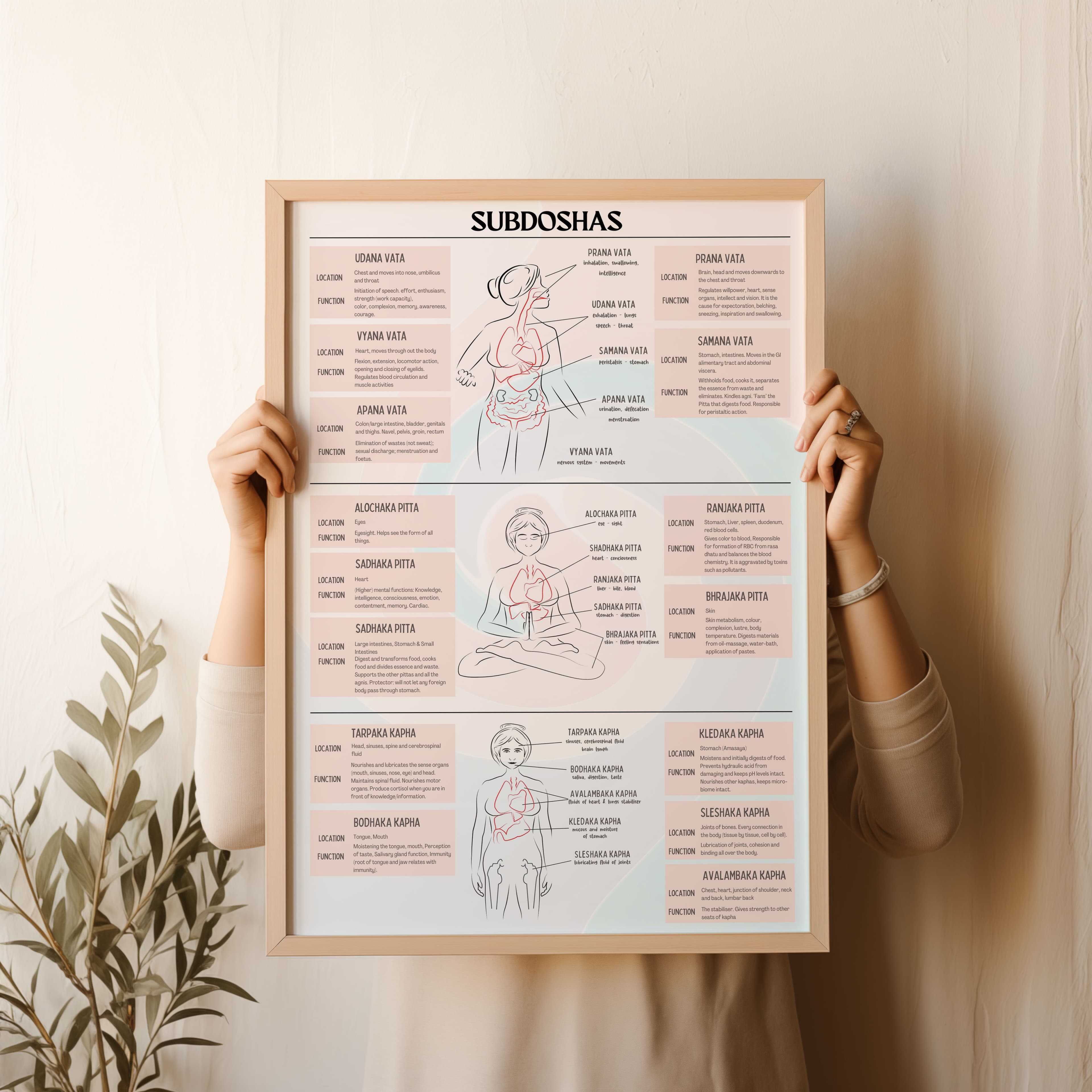 Subdoshas Chart: Vata, Pitta & Kapha Subtypes