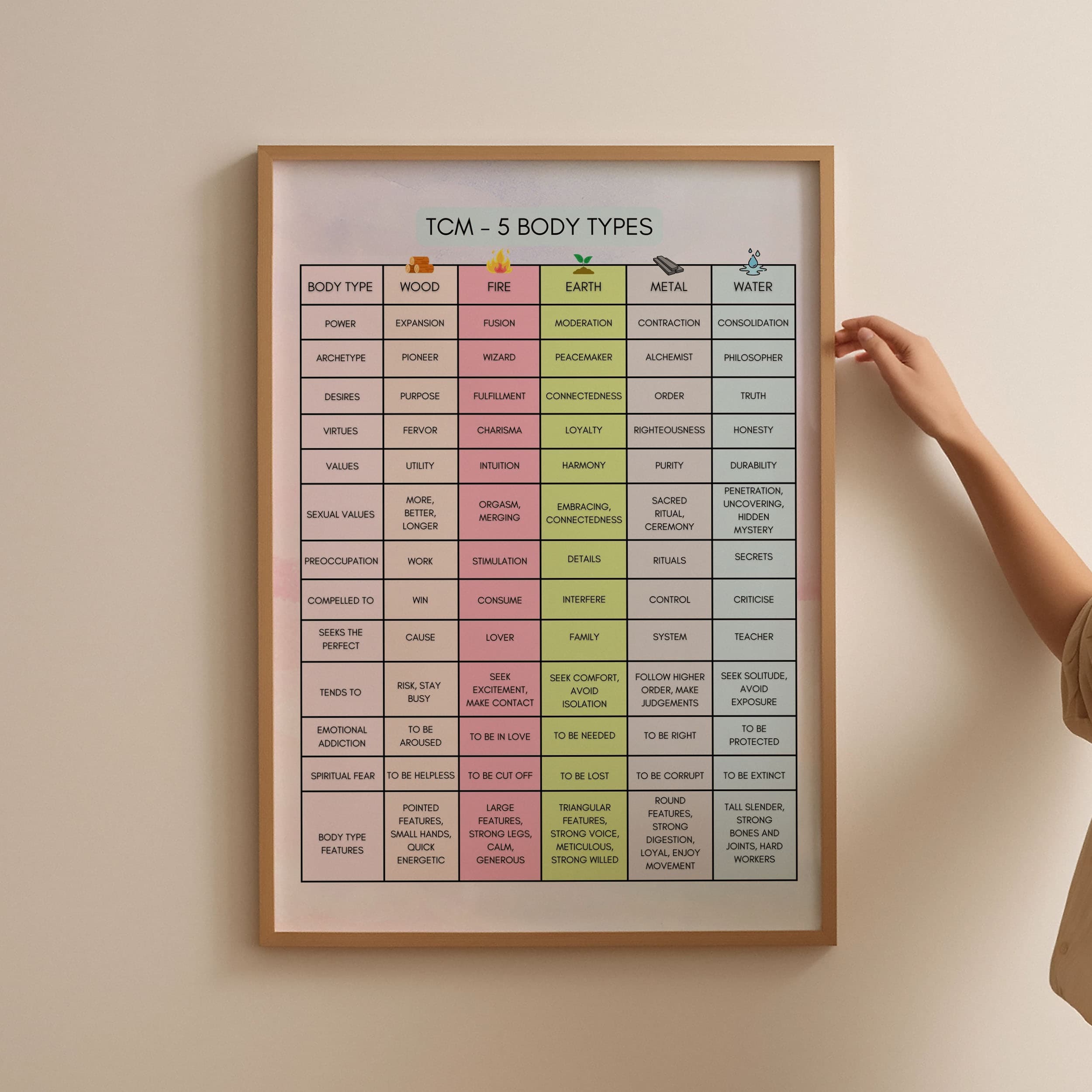 TCM Five Body Types Poster (5 Elements Constitution)