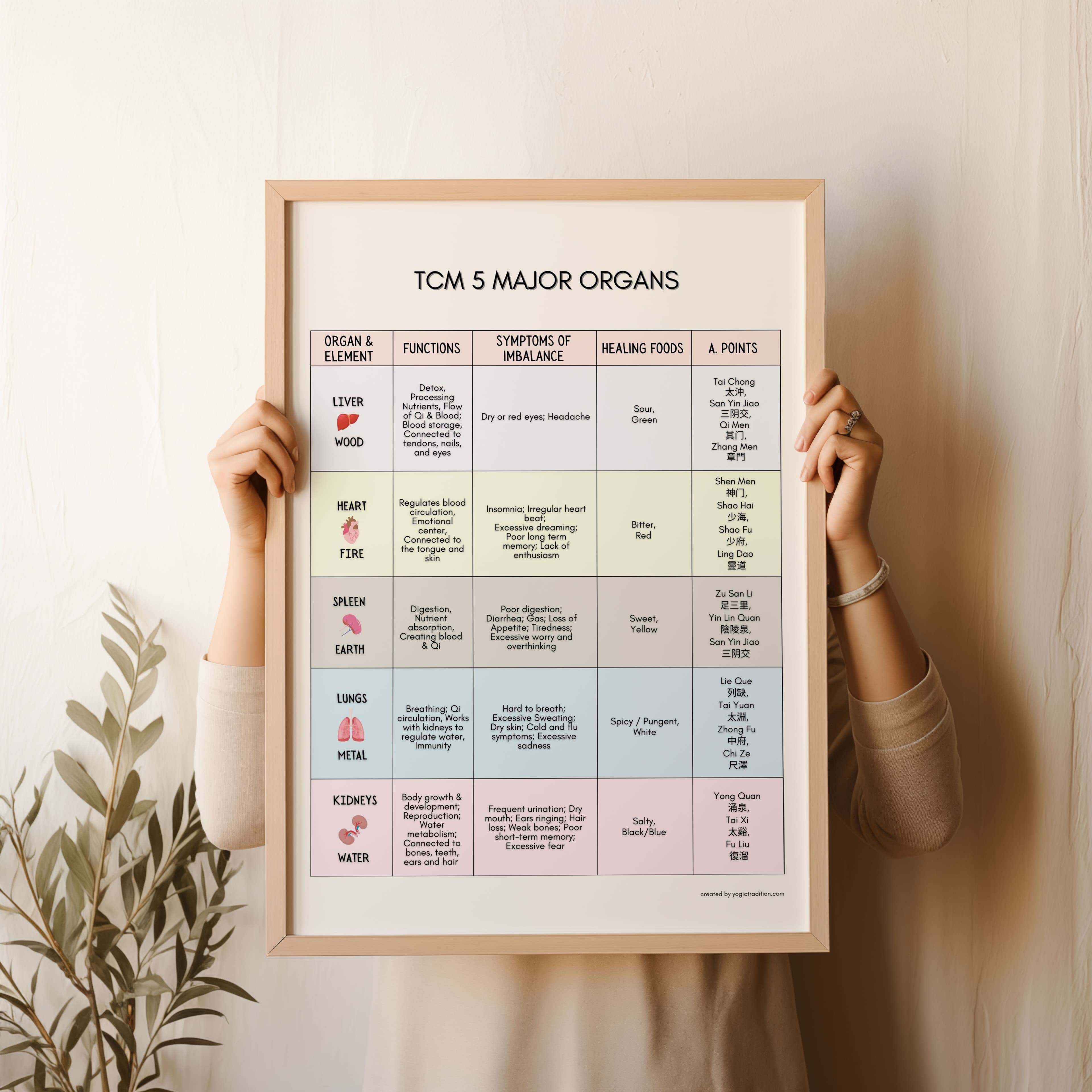 TCM 5 Major Organs Poster (Zang Functions)