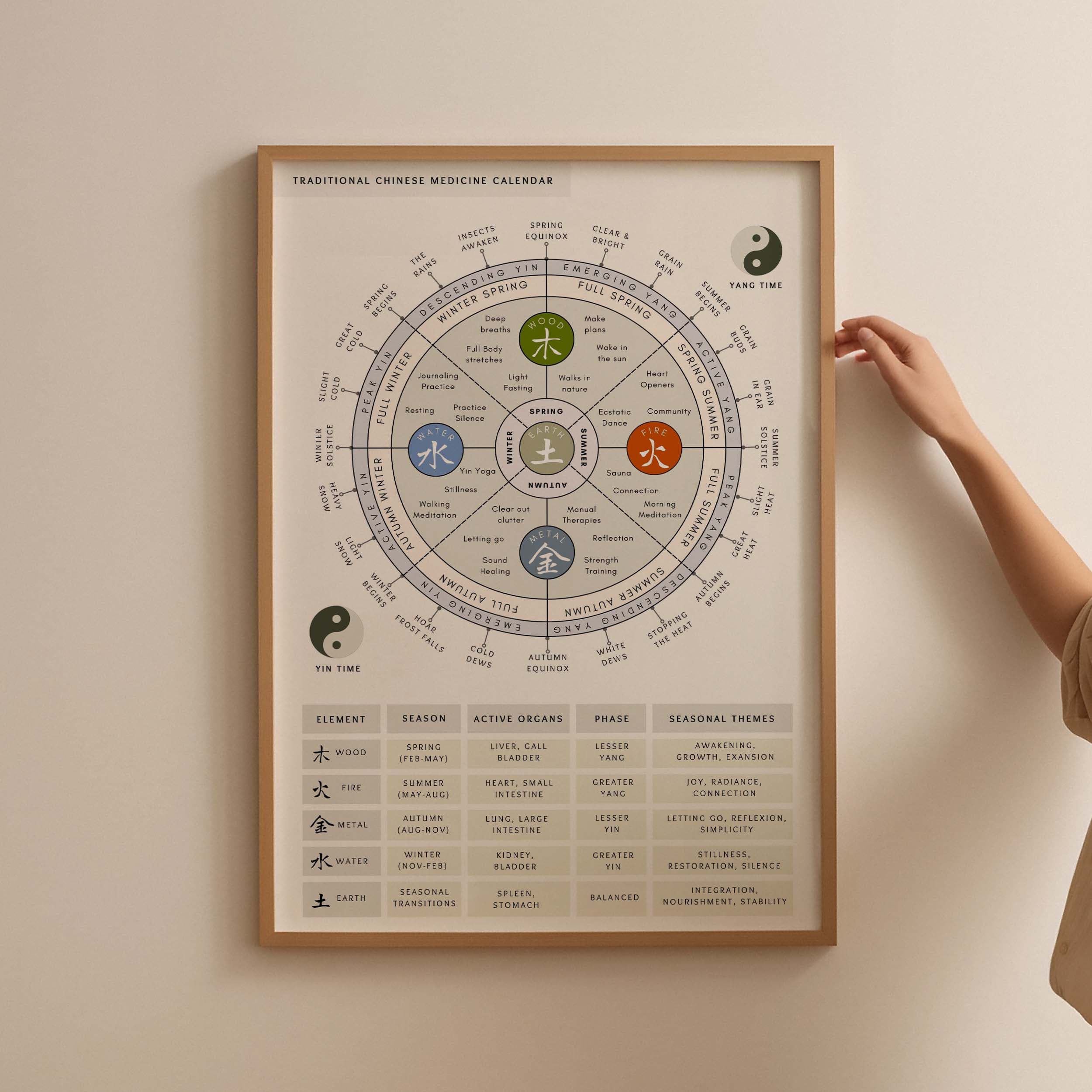 TCM 5 Elements Seasonal Wheel Chart 