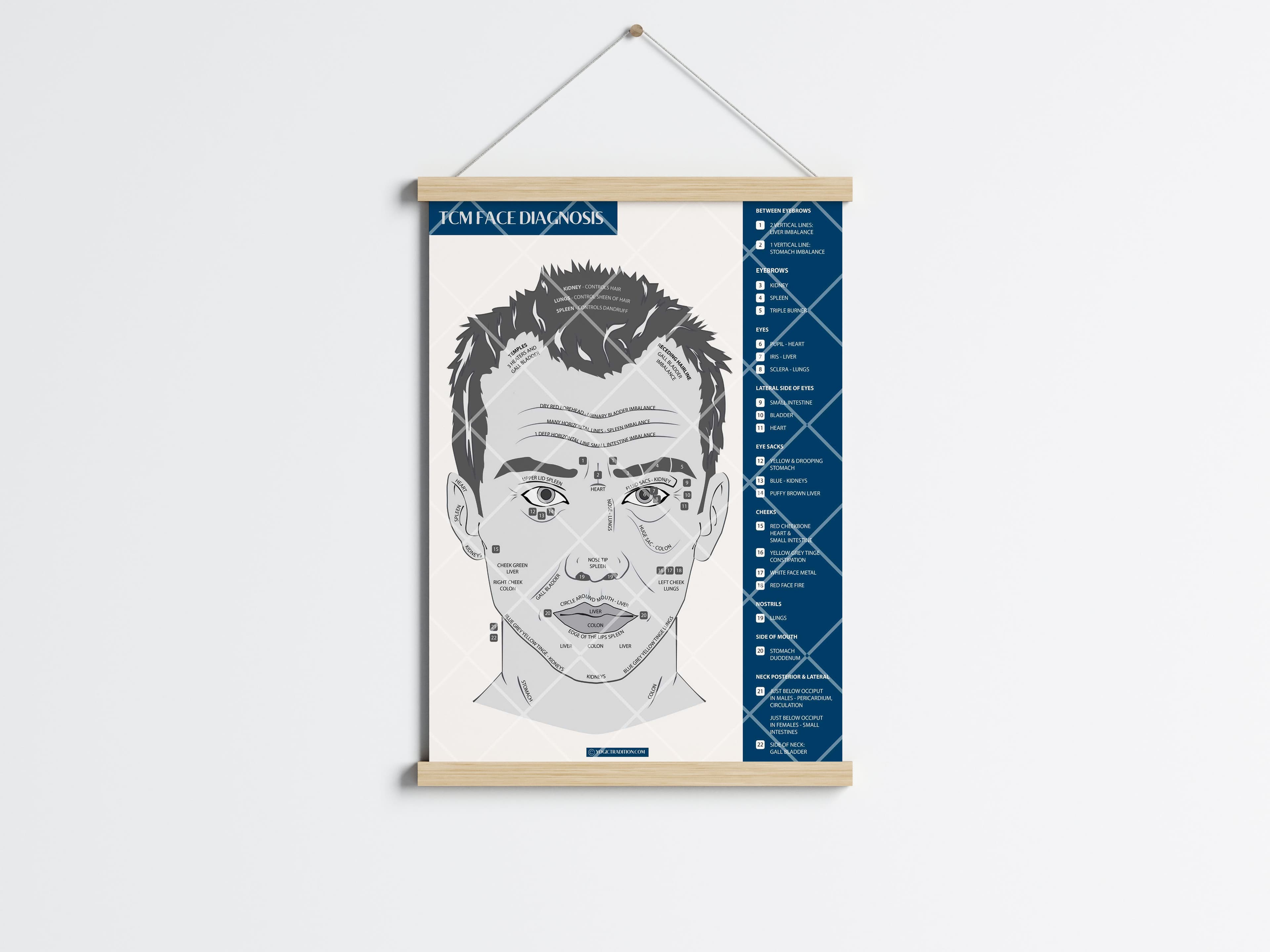 TCM Face Diagnosis Poster