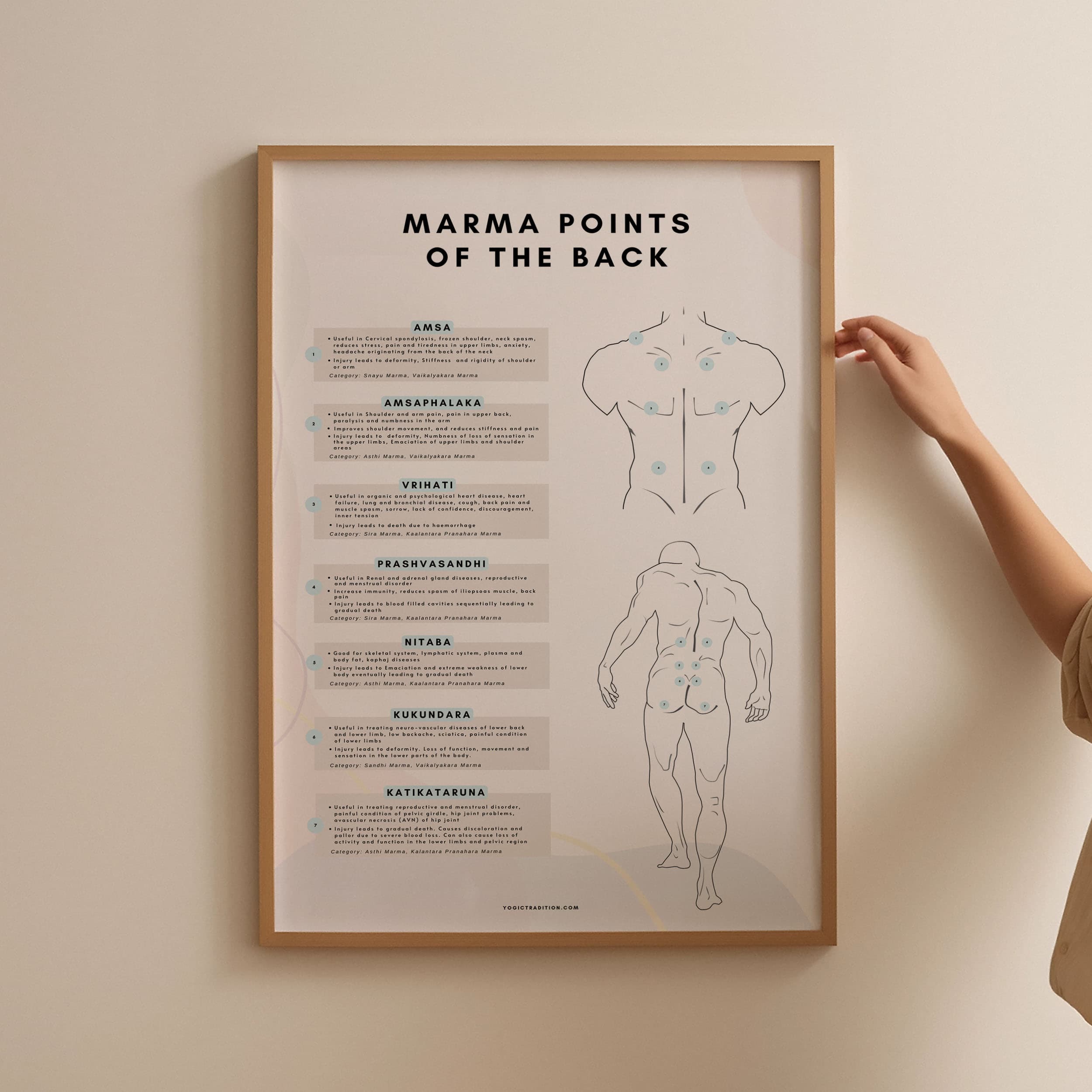 Marma Points of the Back Chart (Ayurveda)