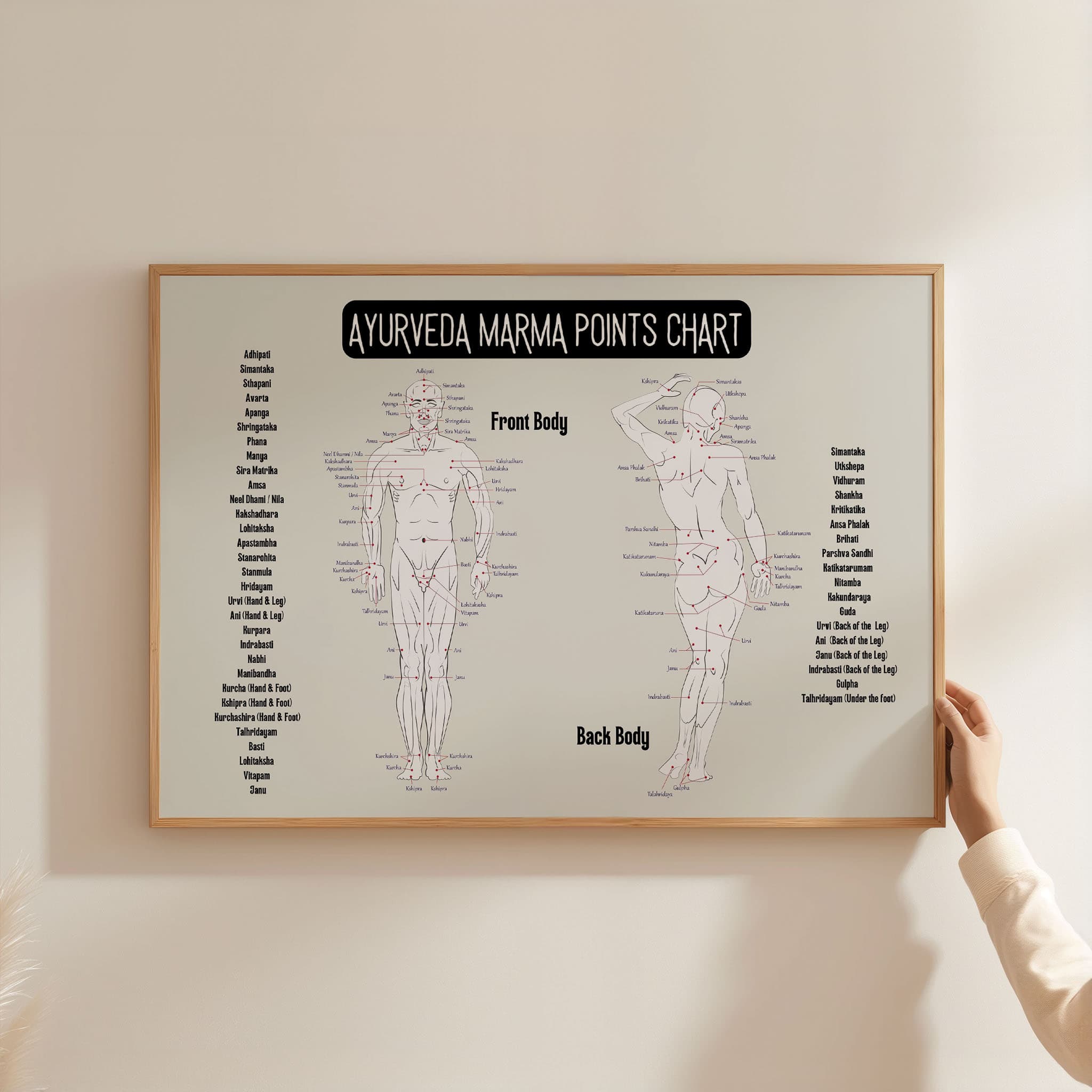 108 Marma Points Ayurveda Chart (Digital PDF)