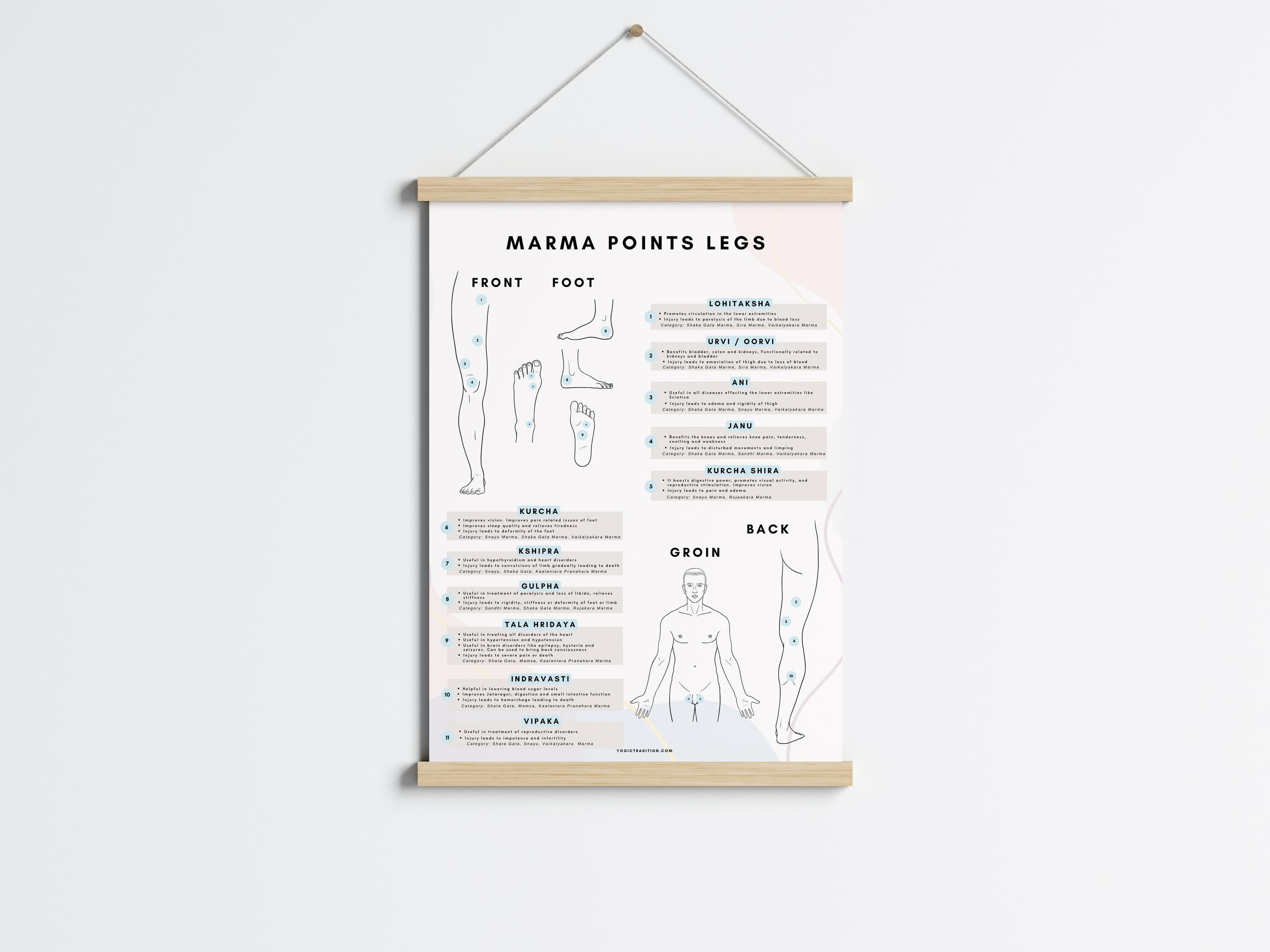 Marma Points of Legs & Lower Limb Chart