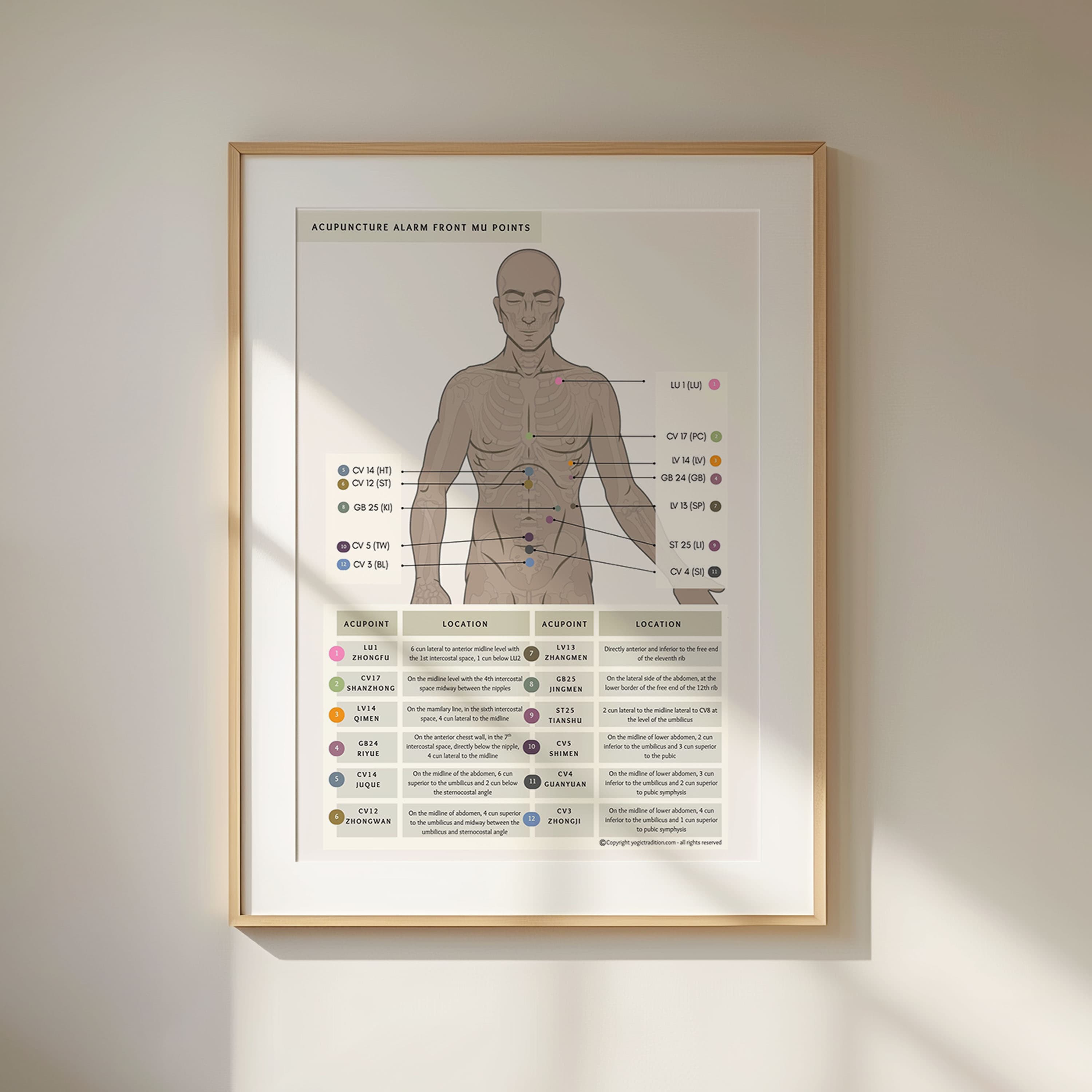 TCM Alarm Front Mu Points Poster (Practitioner Reference)
