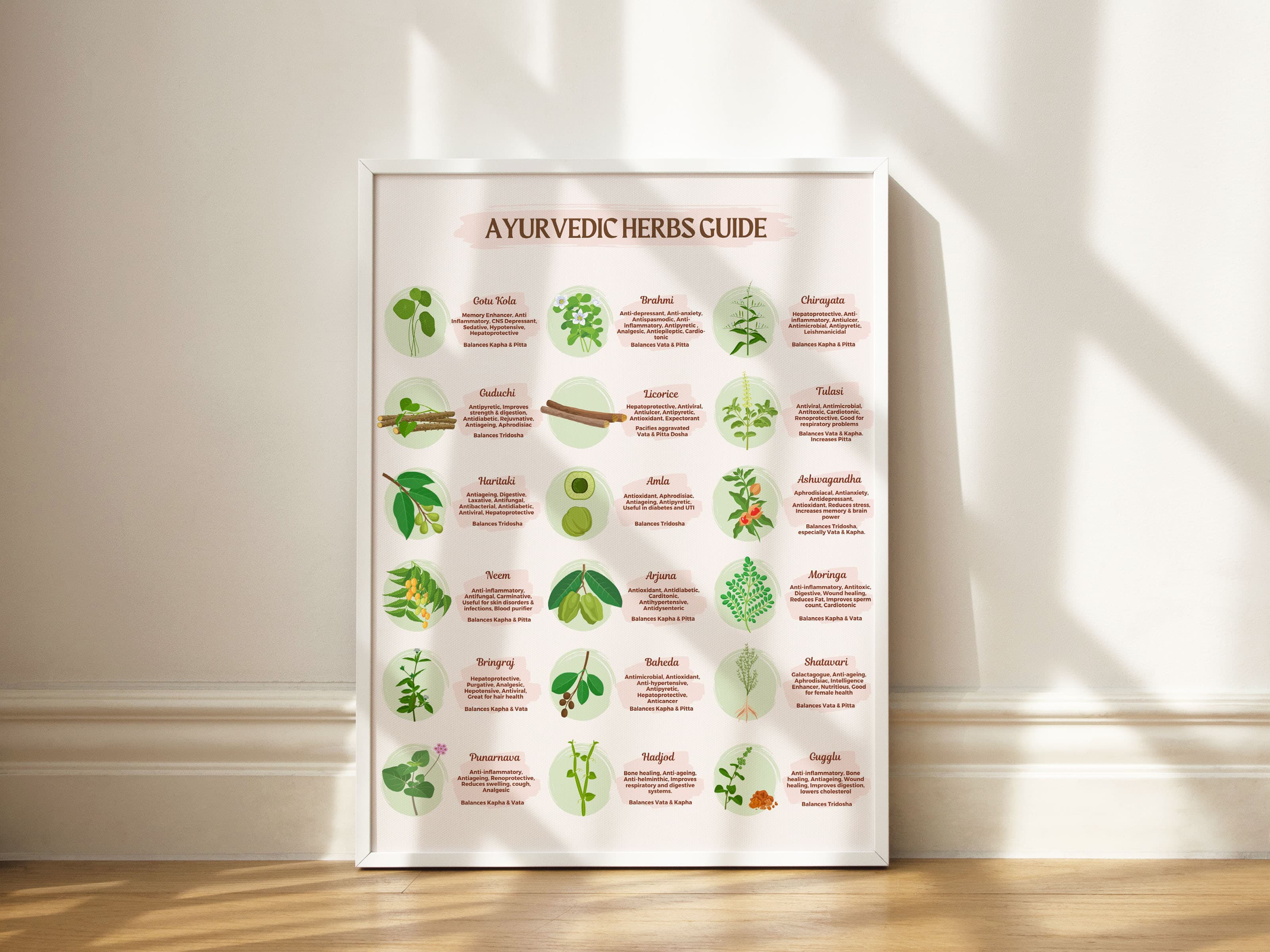 18 Ayurvedic Herbs Guide Poster with Properties