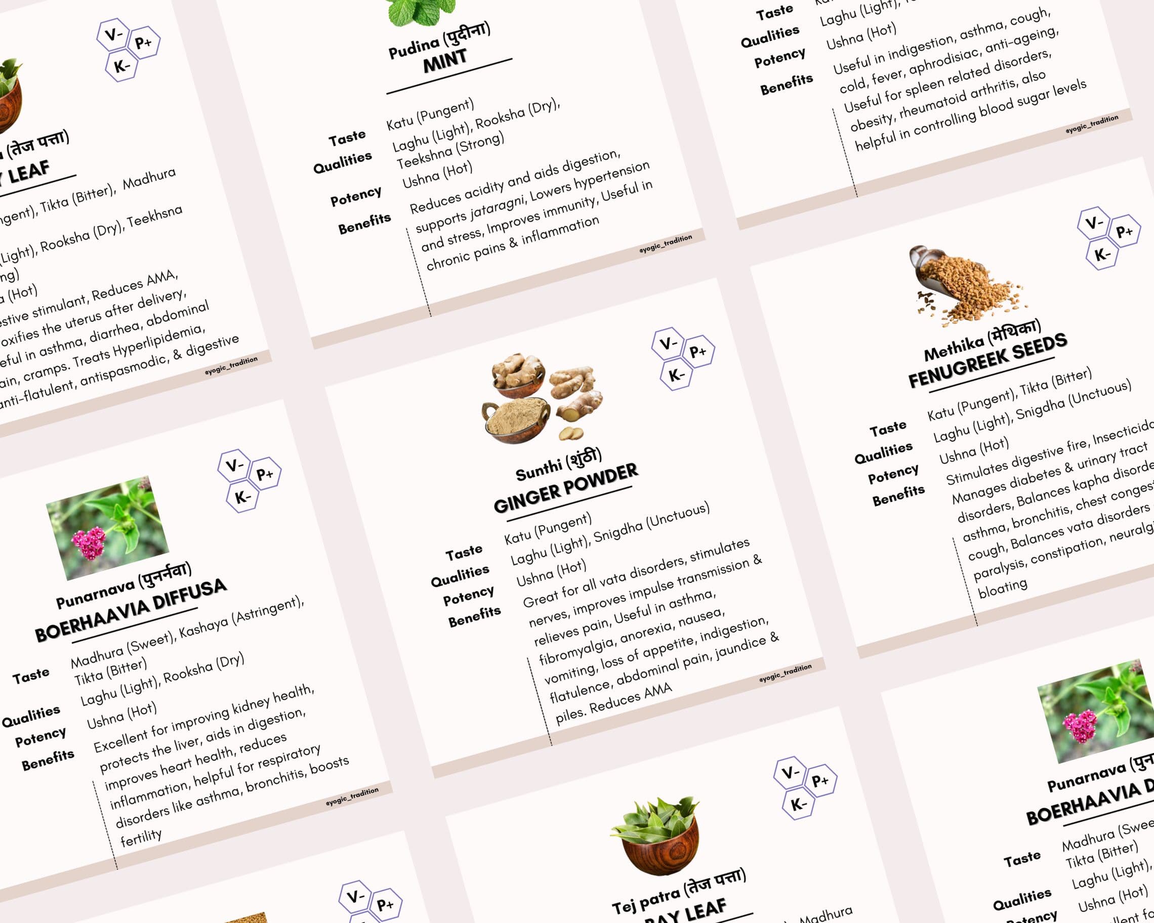 Ayurvedic Herbs Instagram Bundle: 40 Canva Templates