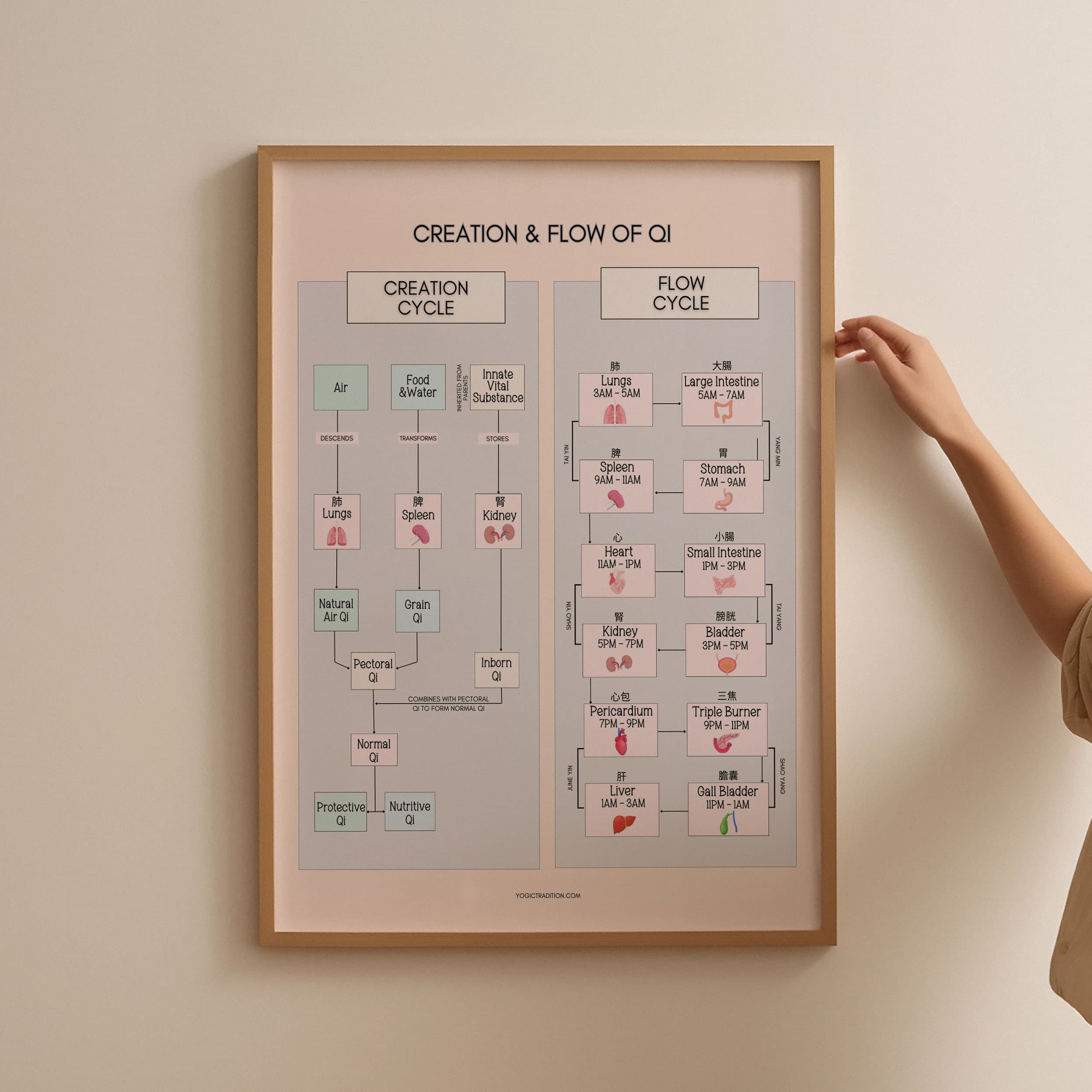 TCM Creation & Flow of Qi Poster