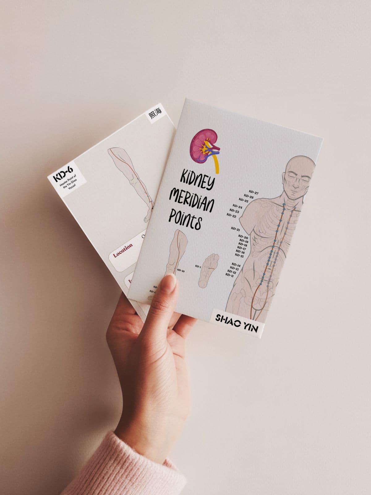 TCM Kidney Meridian Flashcards (Acupuncture Points)