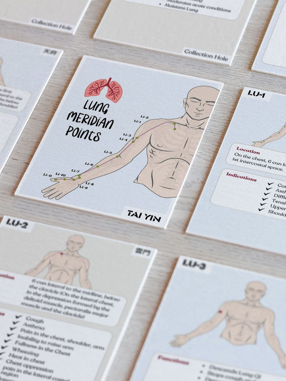 TCM Lung Meridian Flashcards (A6, Acupuncture Points)