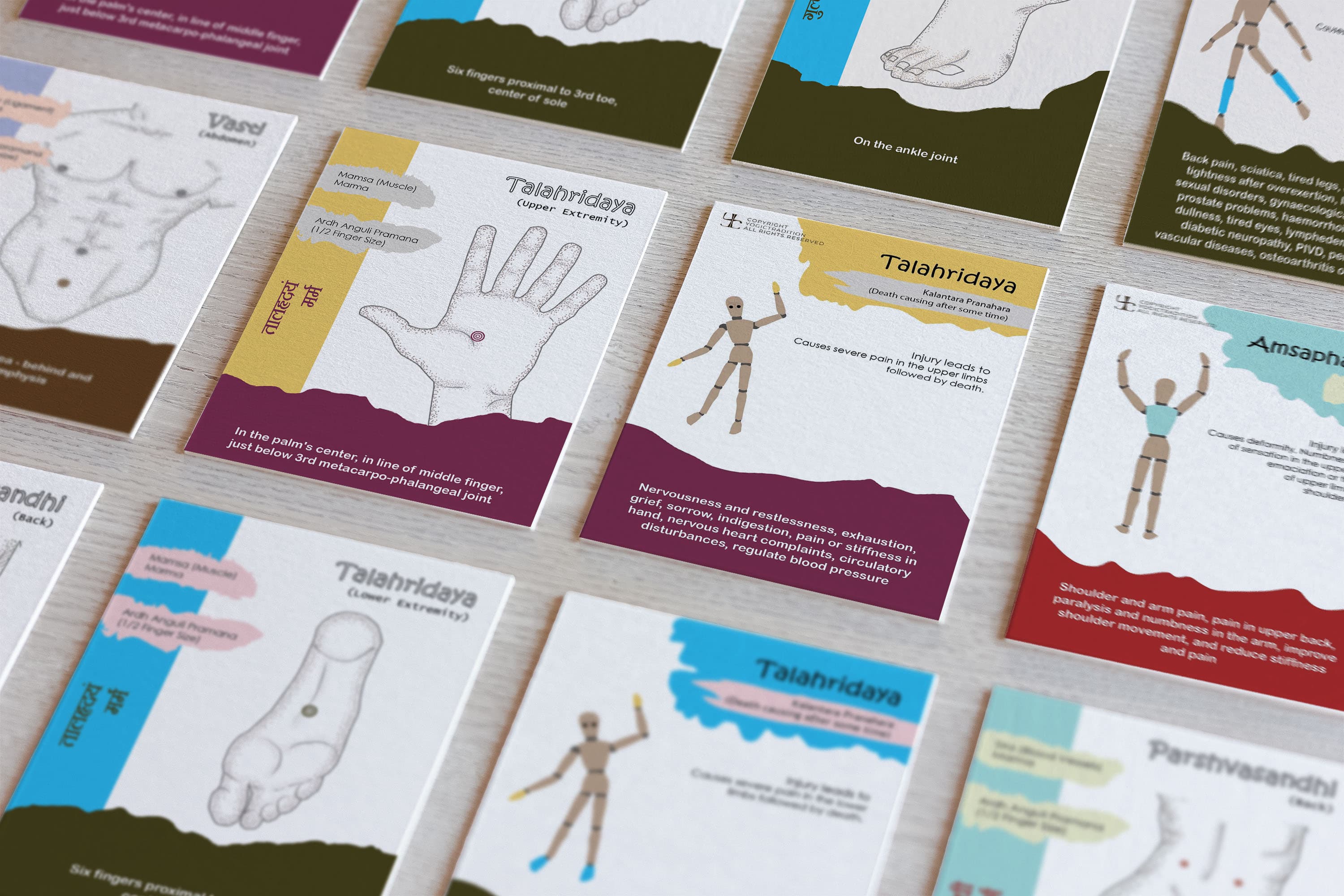 Marma Points Ayurveda – Marma Therapy Flashcards Printed