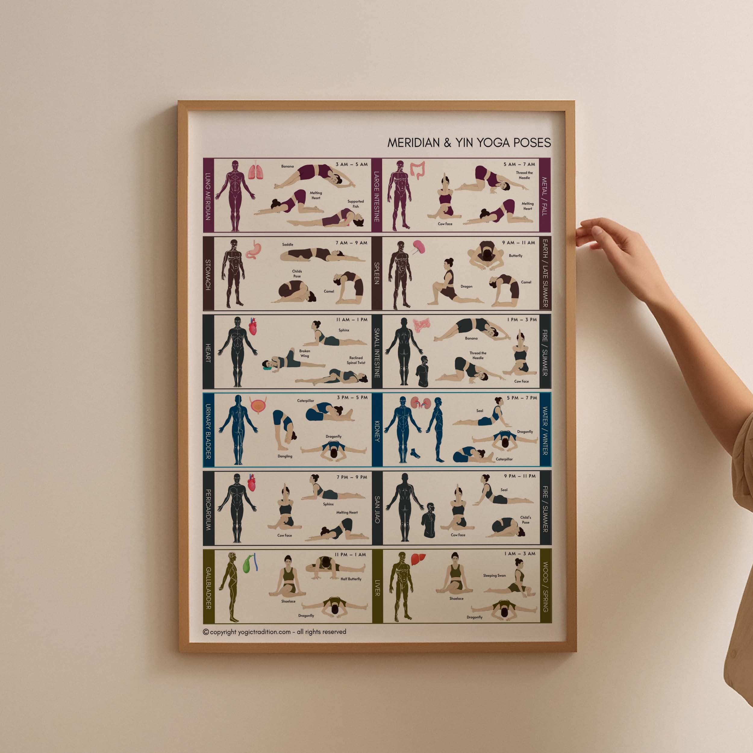 TCM Meridian Yin Yoga Poses Chart
