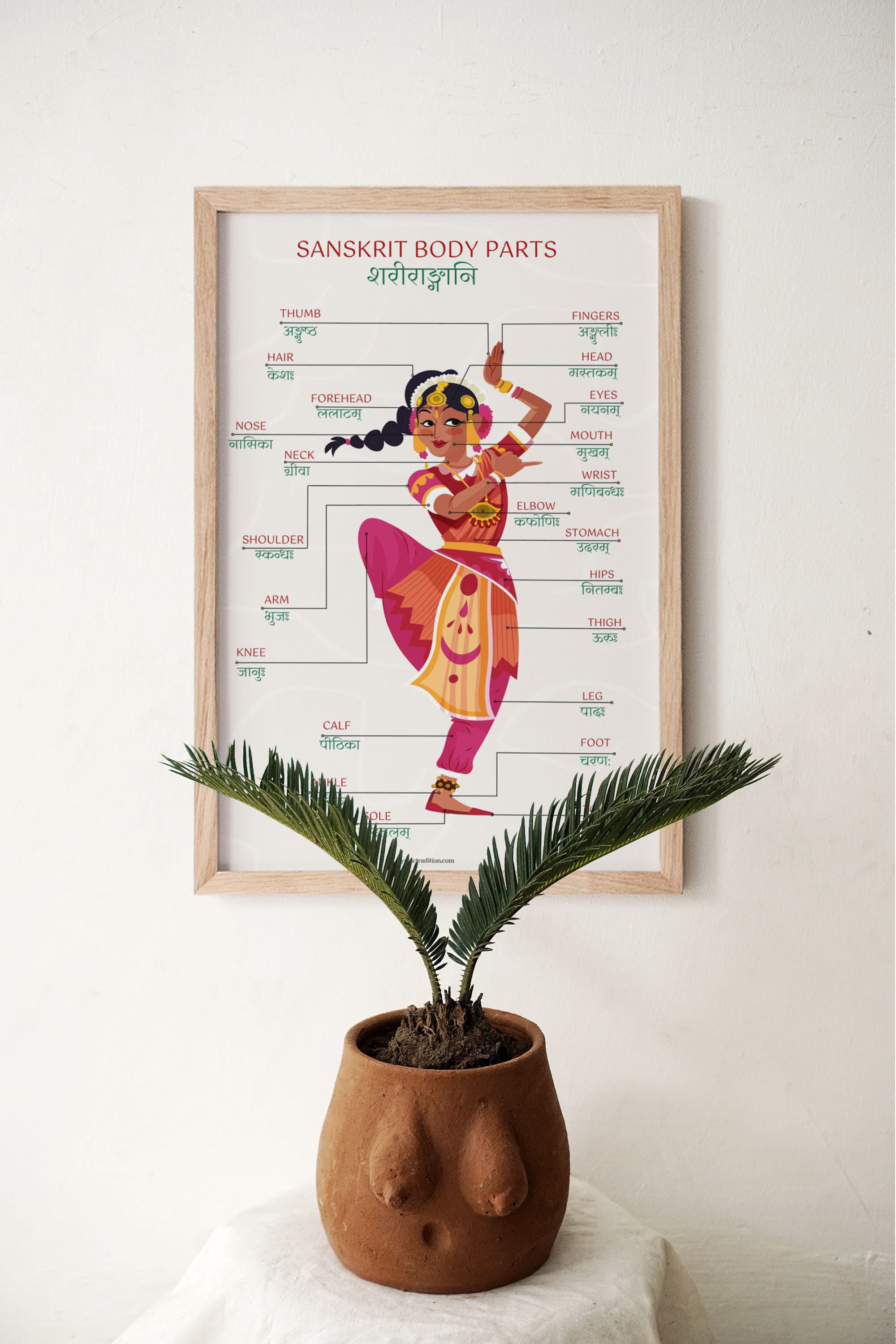 Sanskrit Body Parts Chart with English Translations