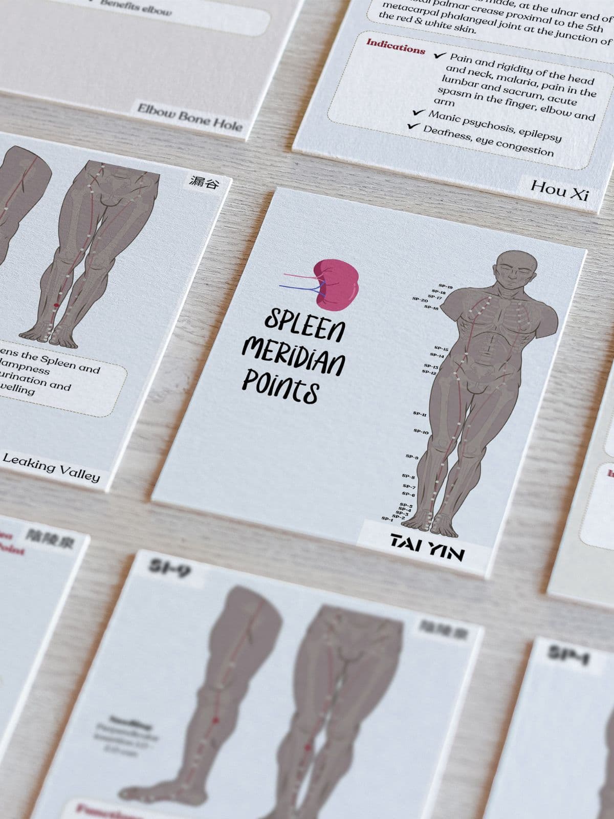 TCM Spleen Meridian Flashcards (Acupuncture Points)