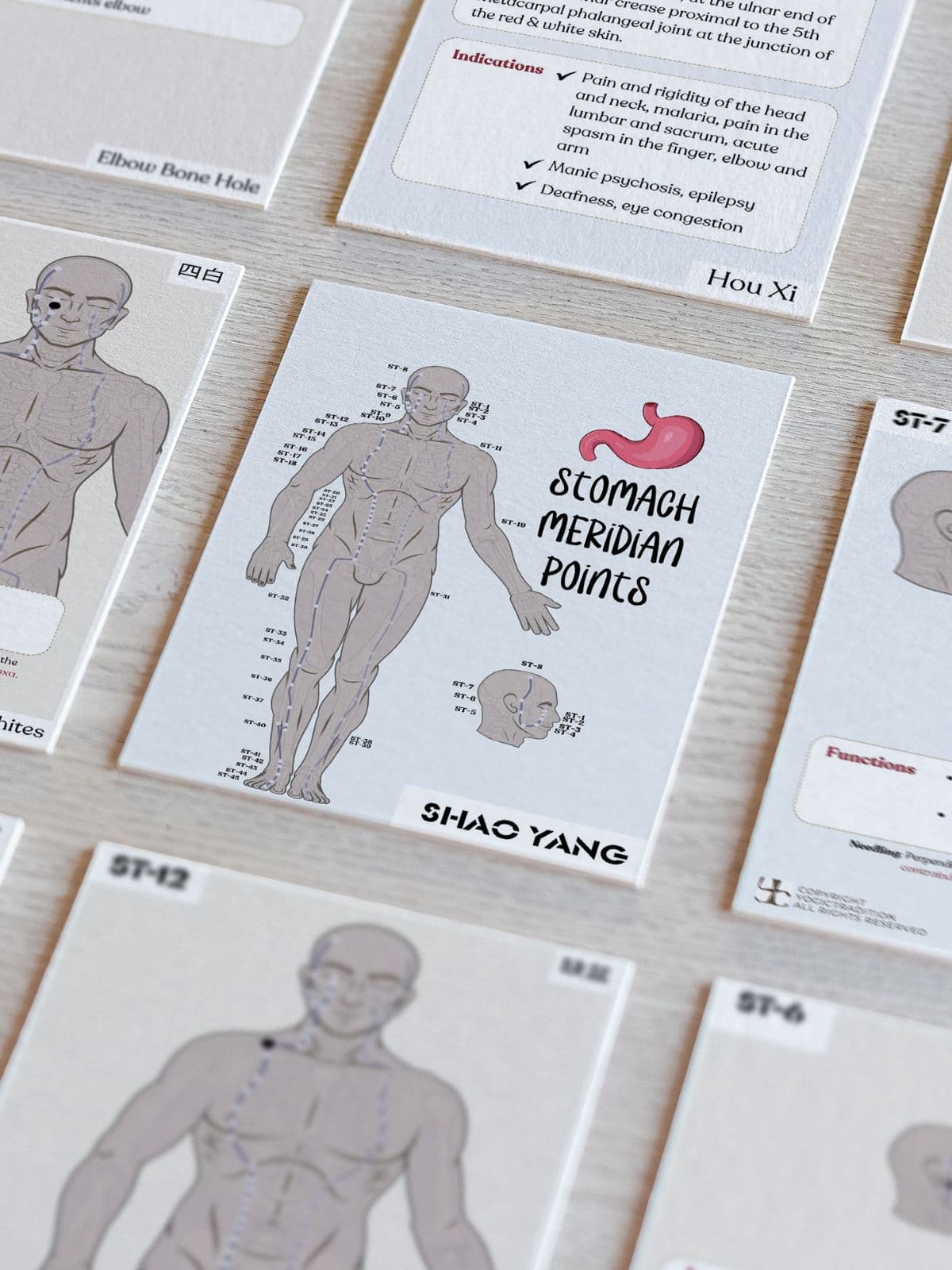 TCM Stomach Meridian Flashcards (Acupuncture Points)