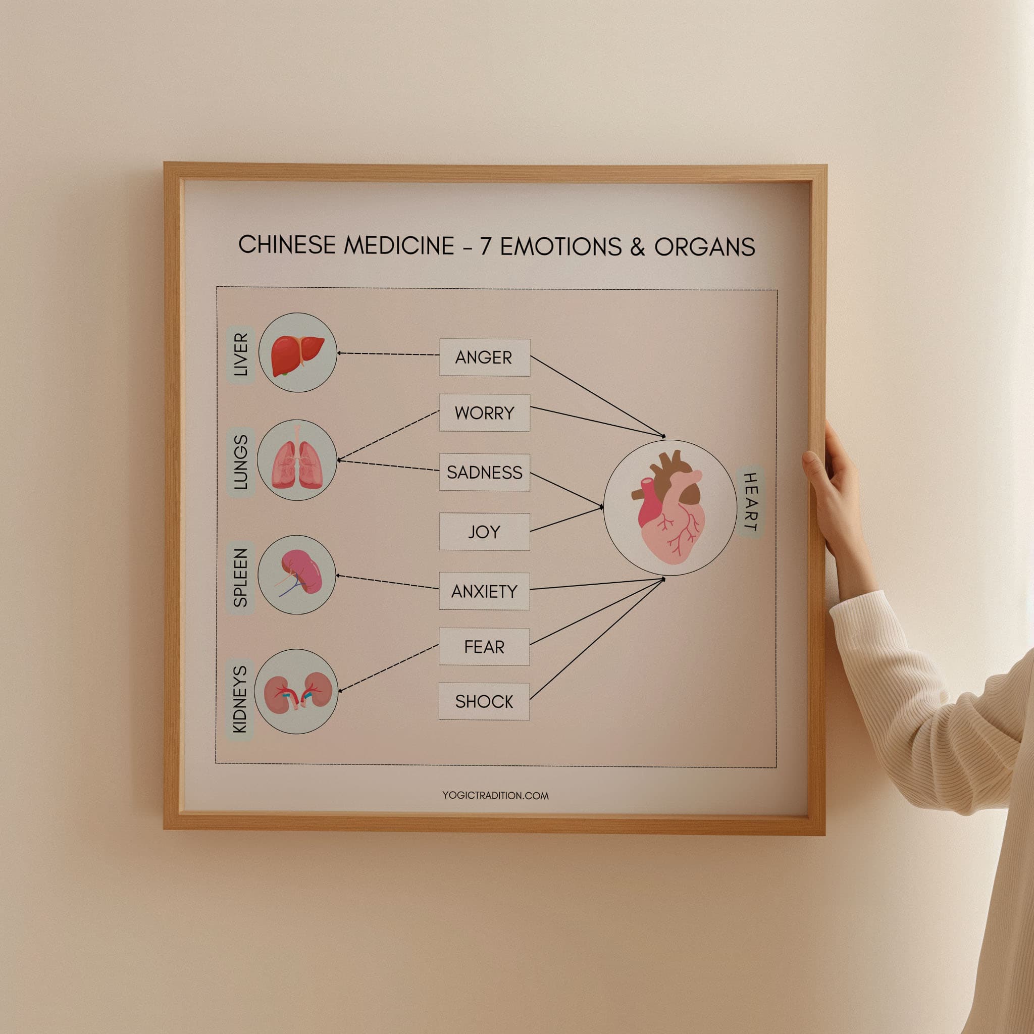 TCM 7 Emotions and Organs Poster