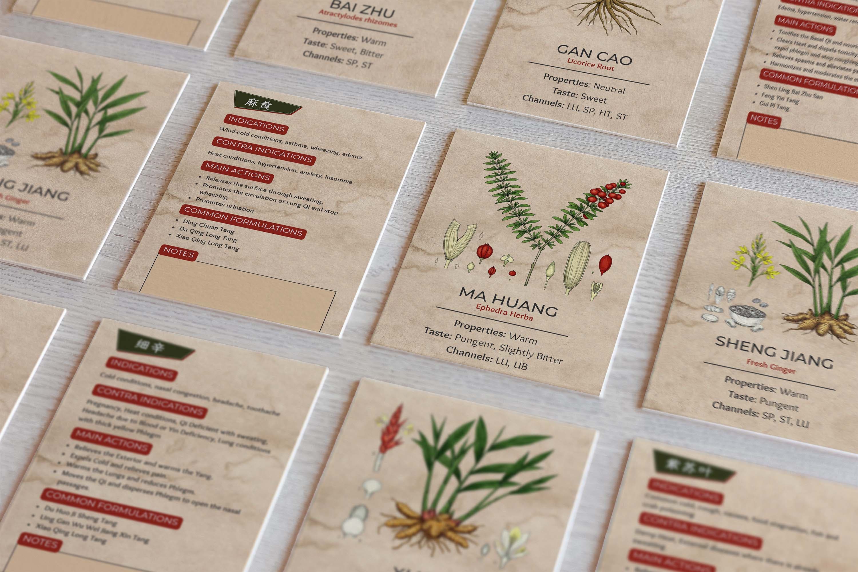 TCM Herbs Flashcards with Properties