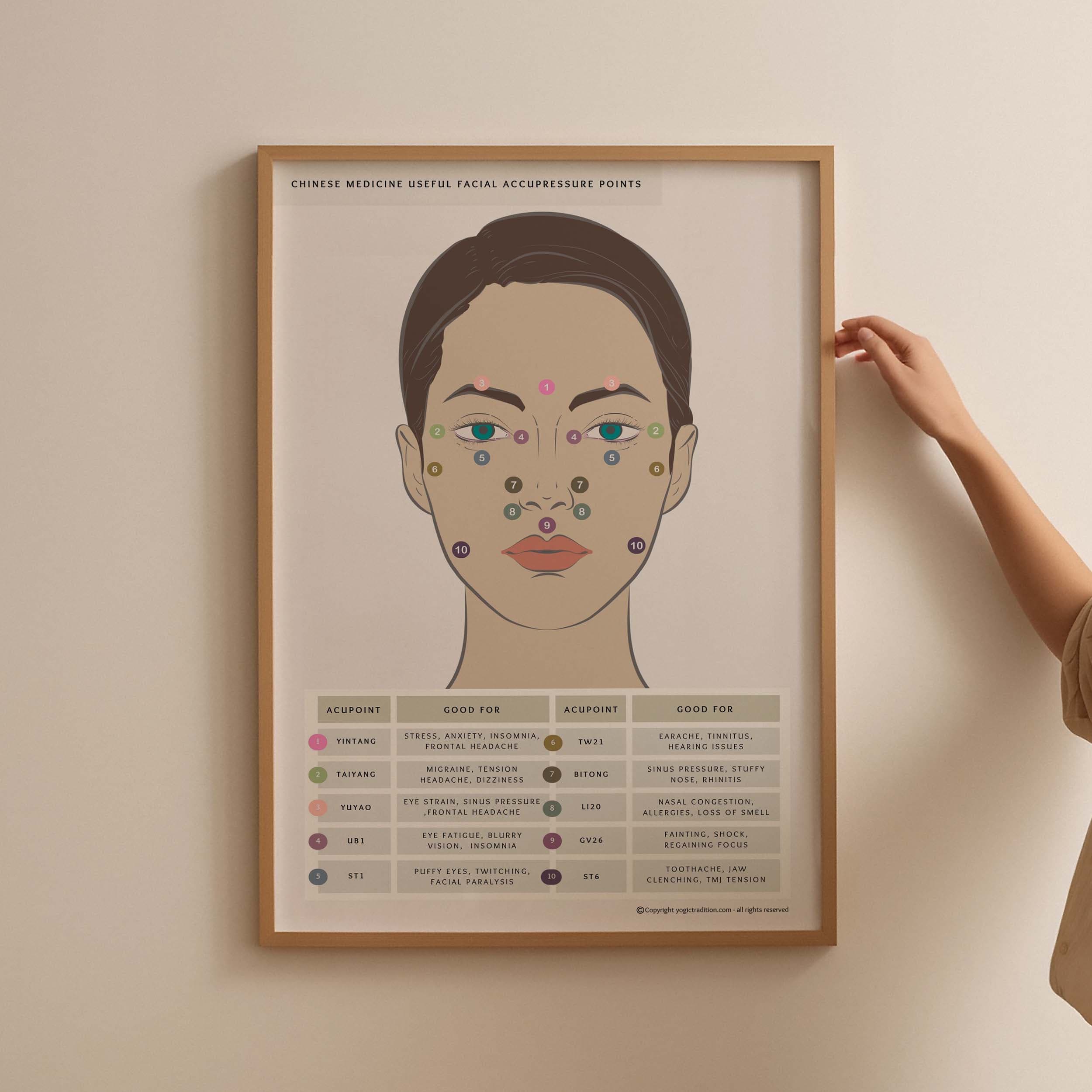 TCM Facial Acupressure Reflexology Points Poster