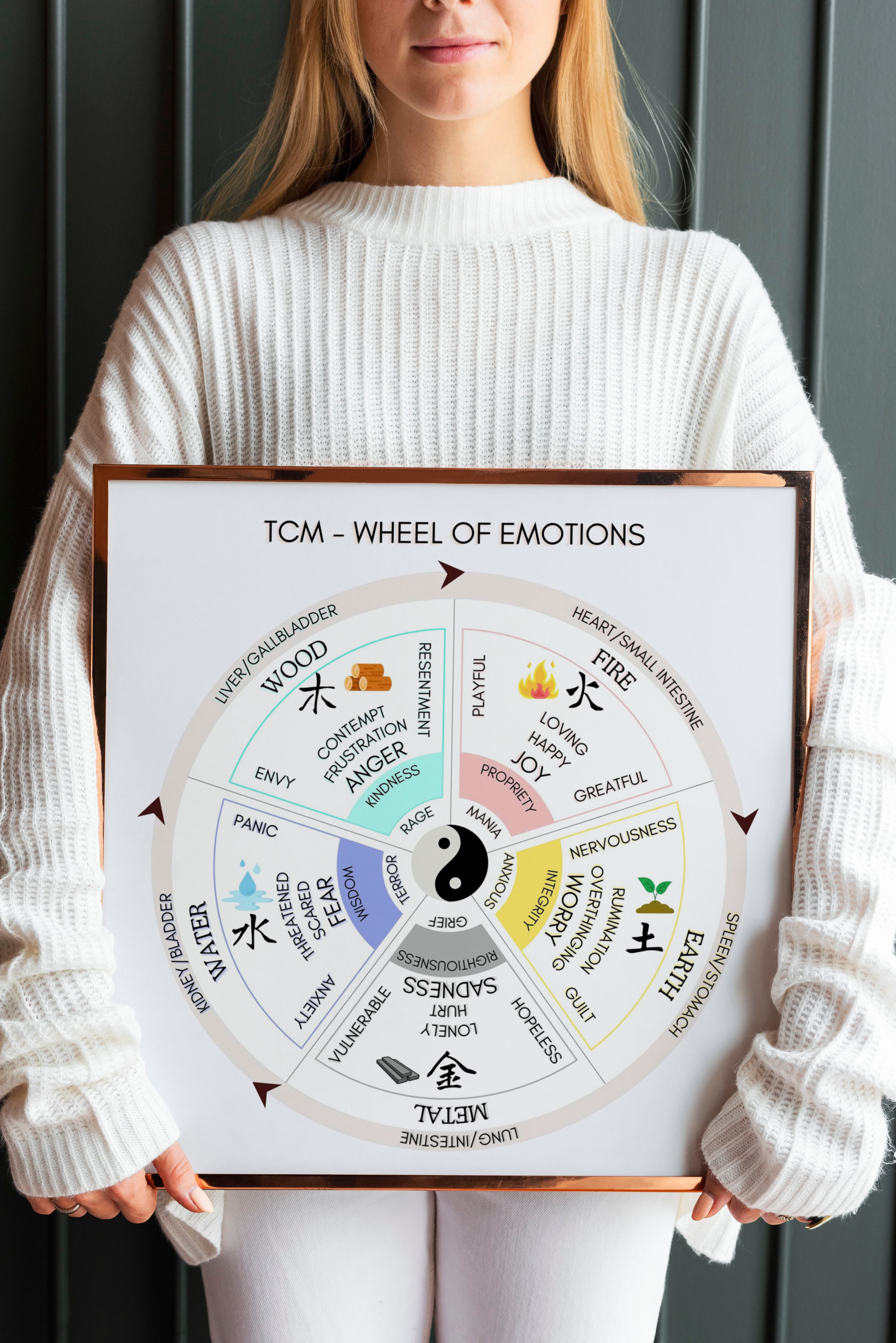 TCM Wheel of Emotion Chart
