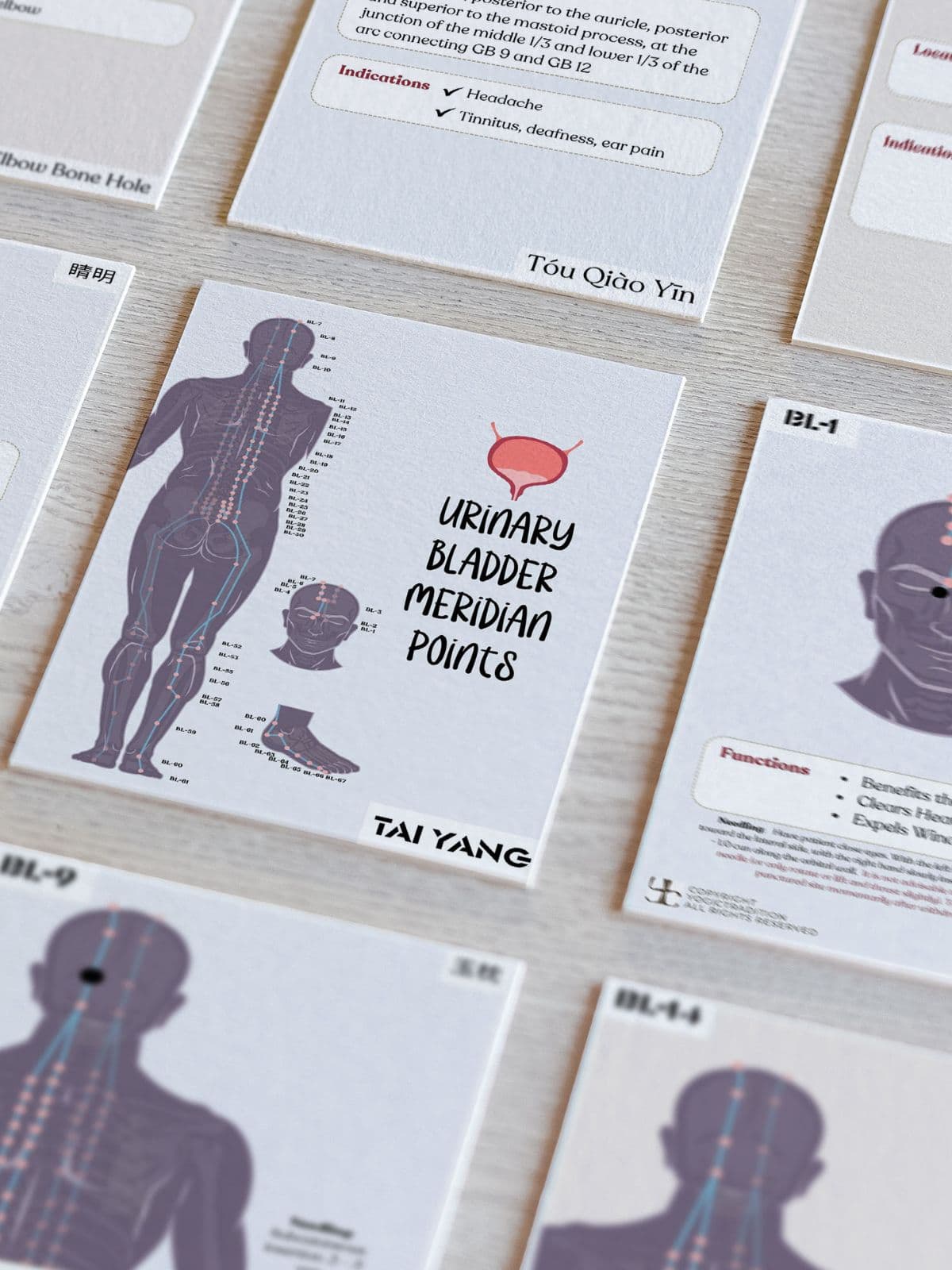 TCM Urinary Bladder Meridian Flashcards (Acupuncture Points)