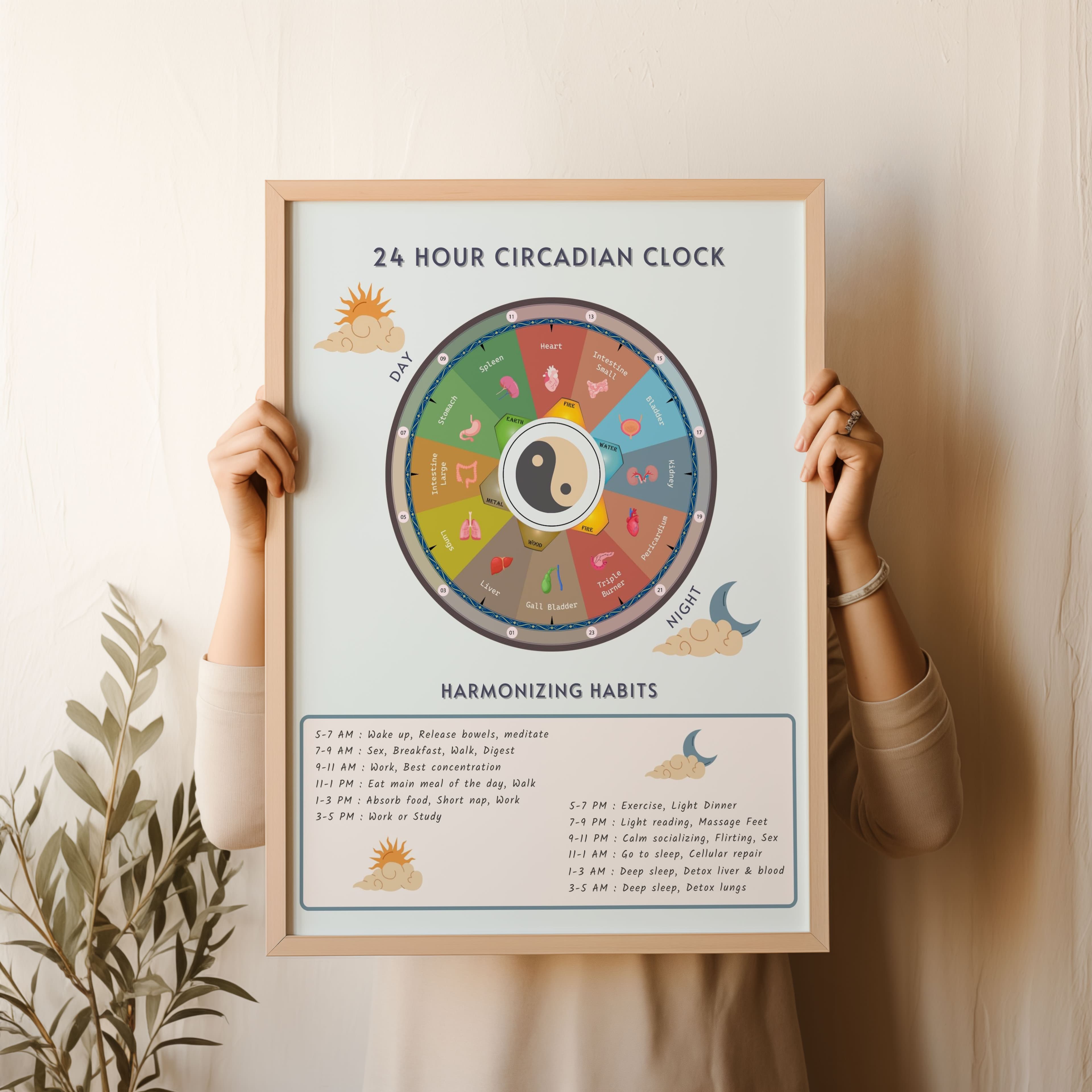 TCM 24-Hour Circadian Clock Poster