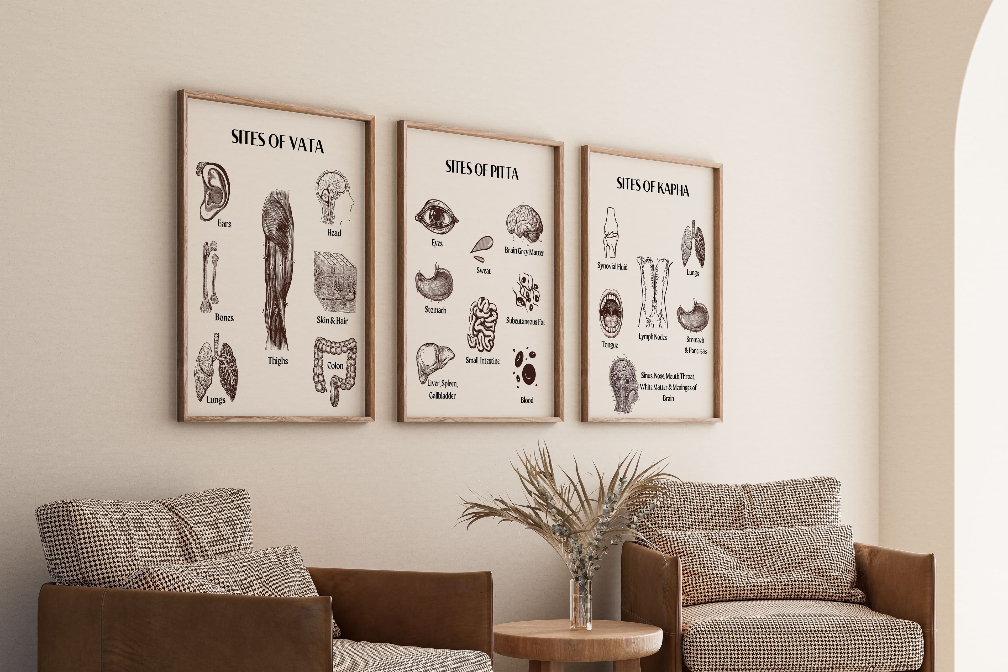 Ayurveda Sites of Vata Pitta Kapha Dosha Posters (3)