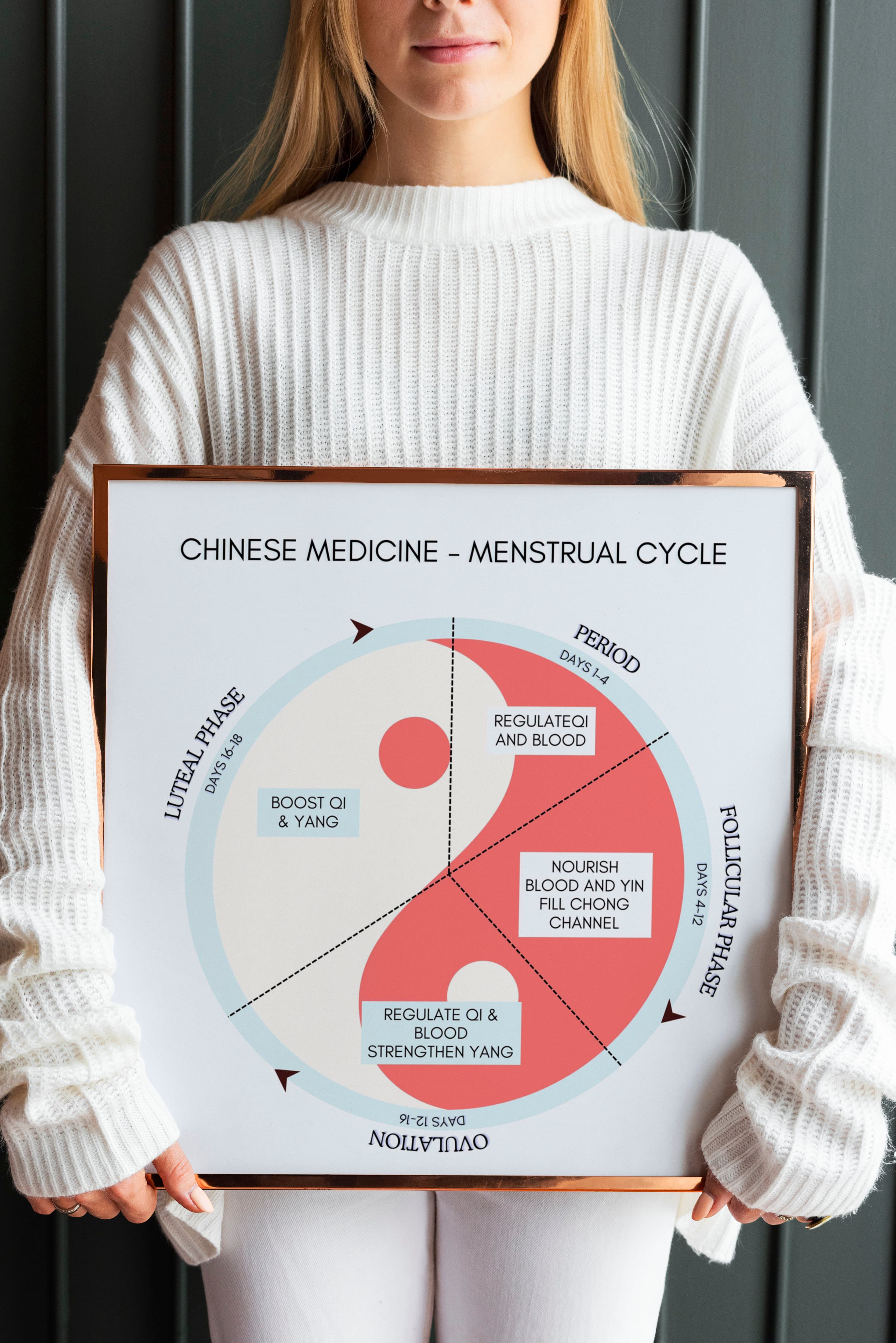 TCM Menstrual Cycle Poster (Chinese Medicine Study Guide)