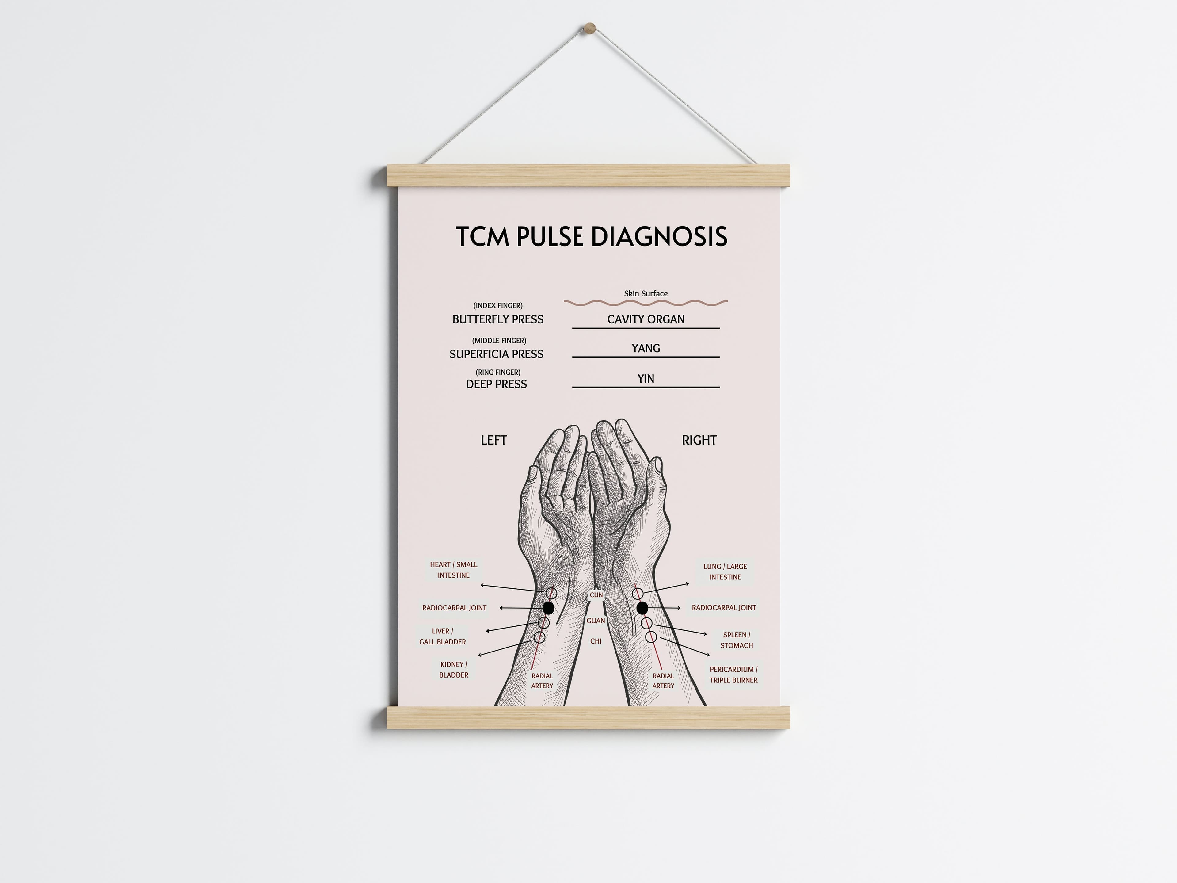 TCM Pulse Diagnosis Chart